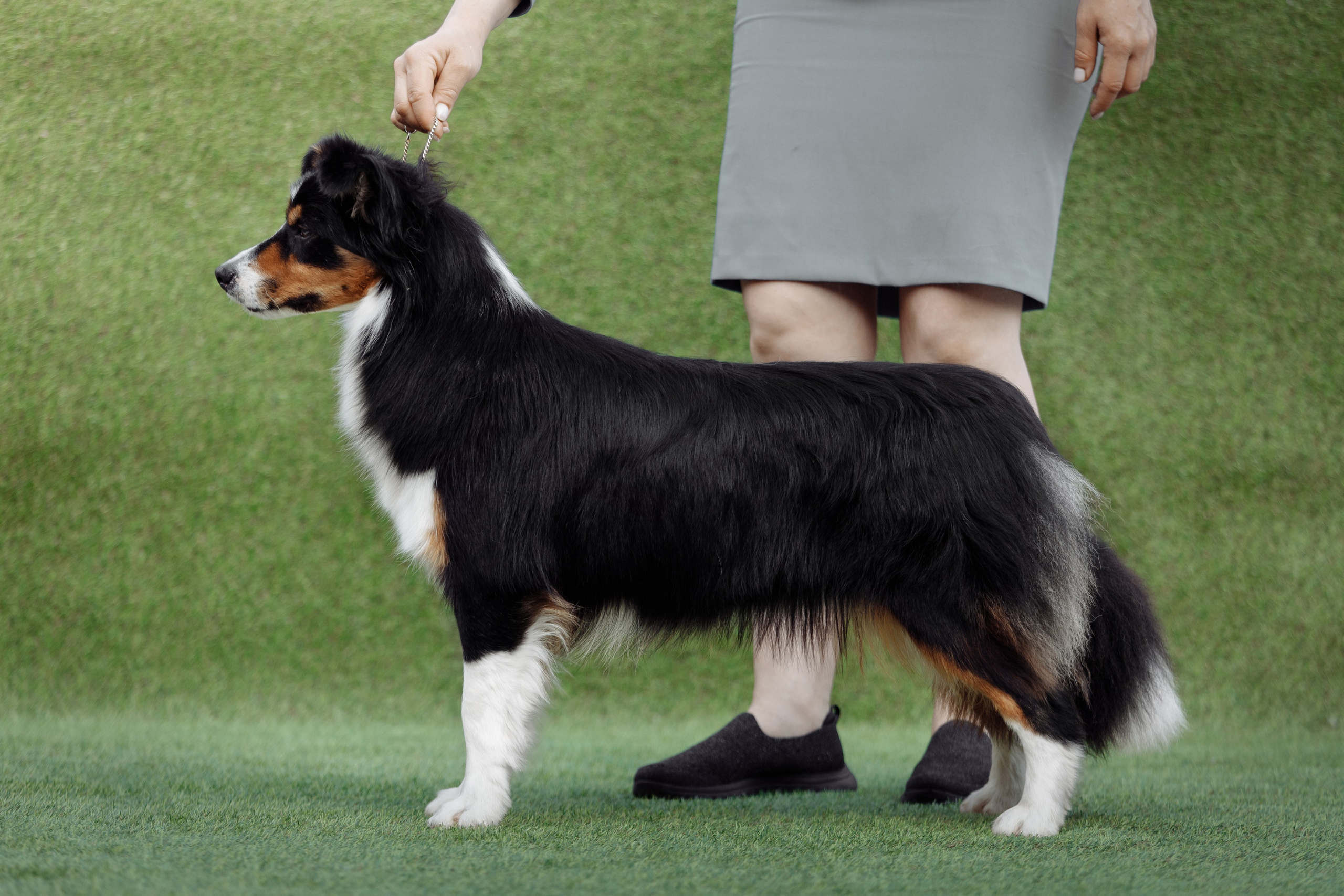 Свое место. О нас