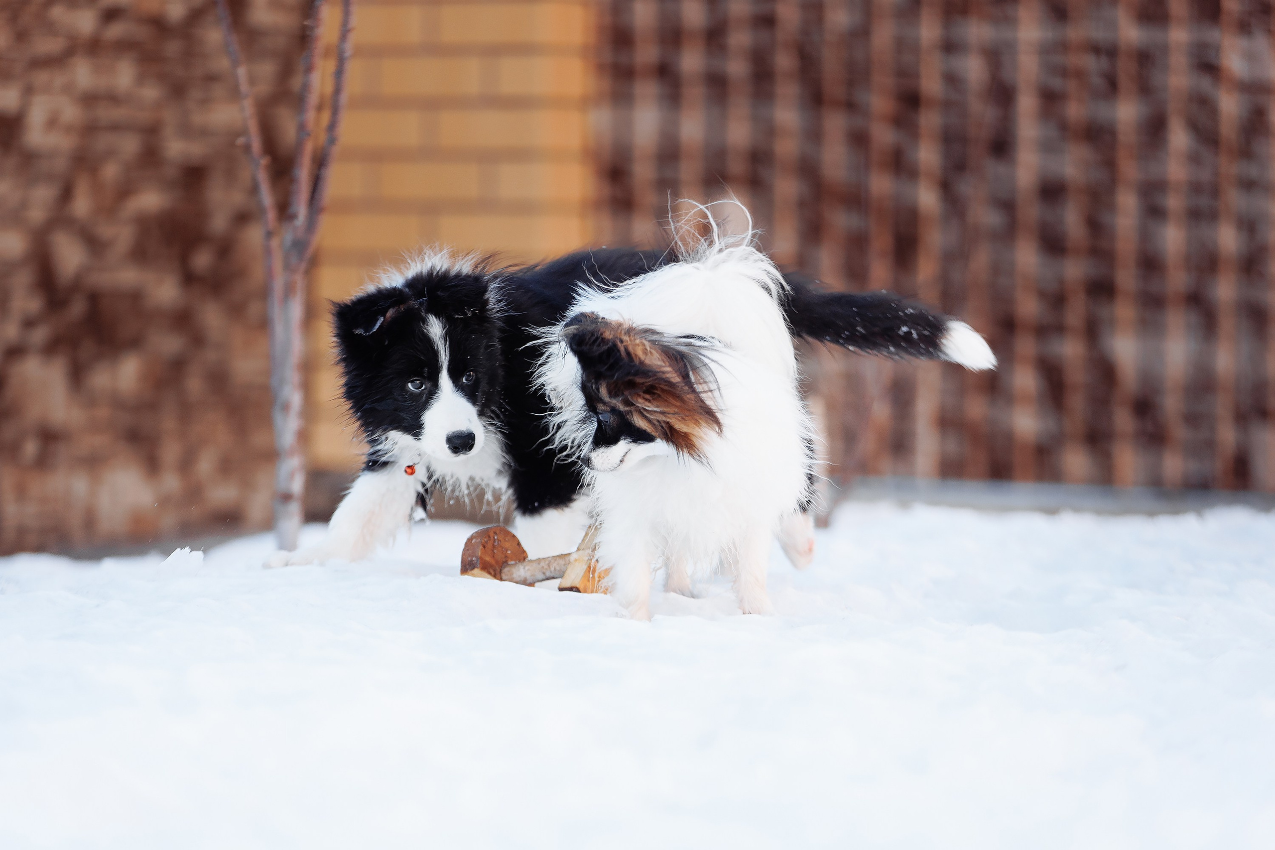 Пока таяло. О нас