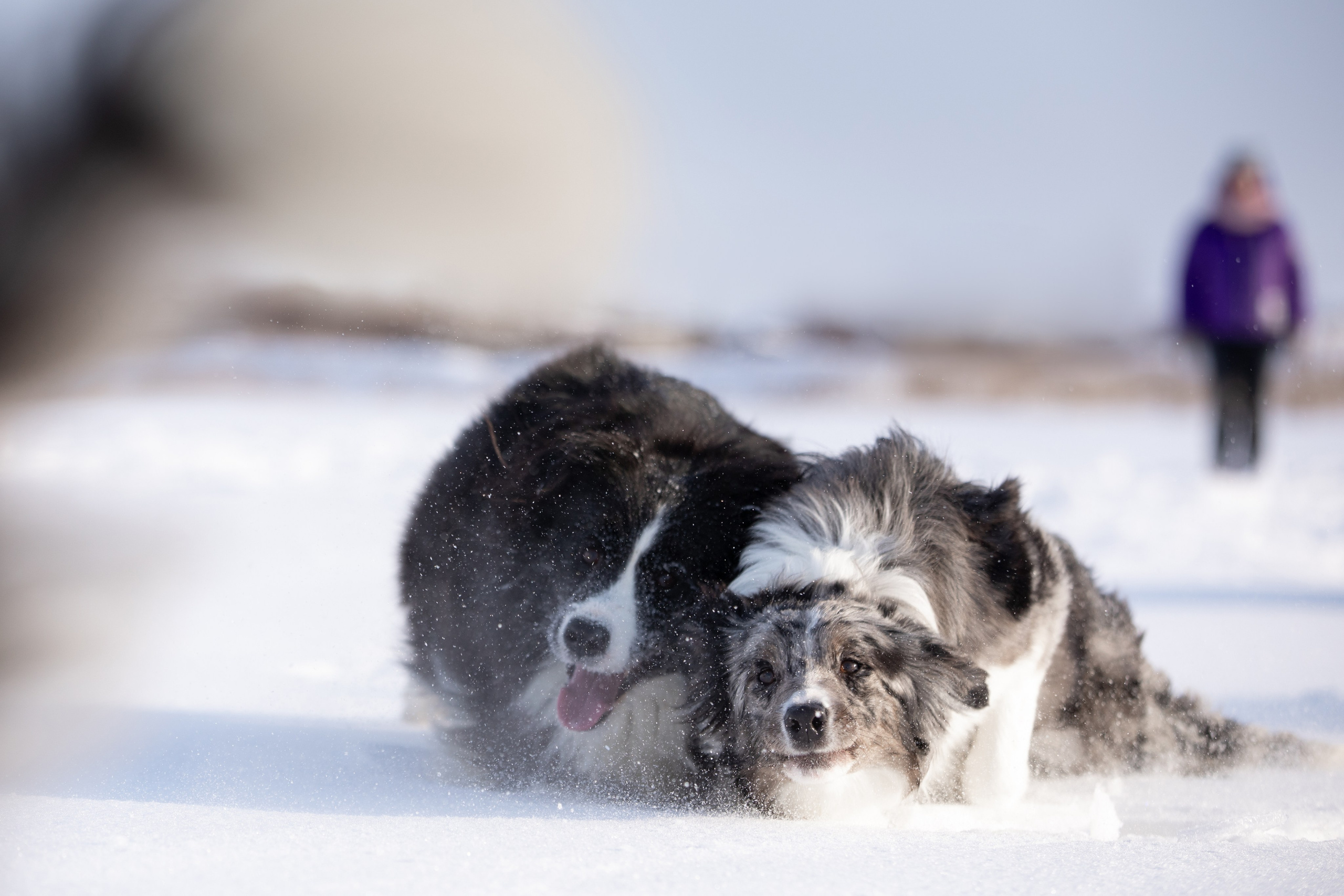 Мороз и солнце. О нас