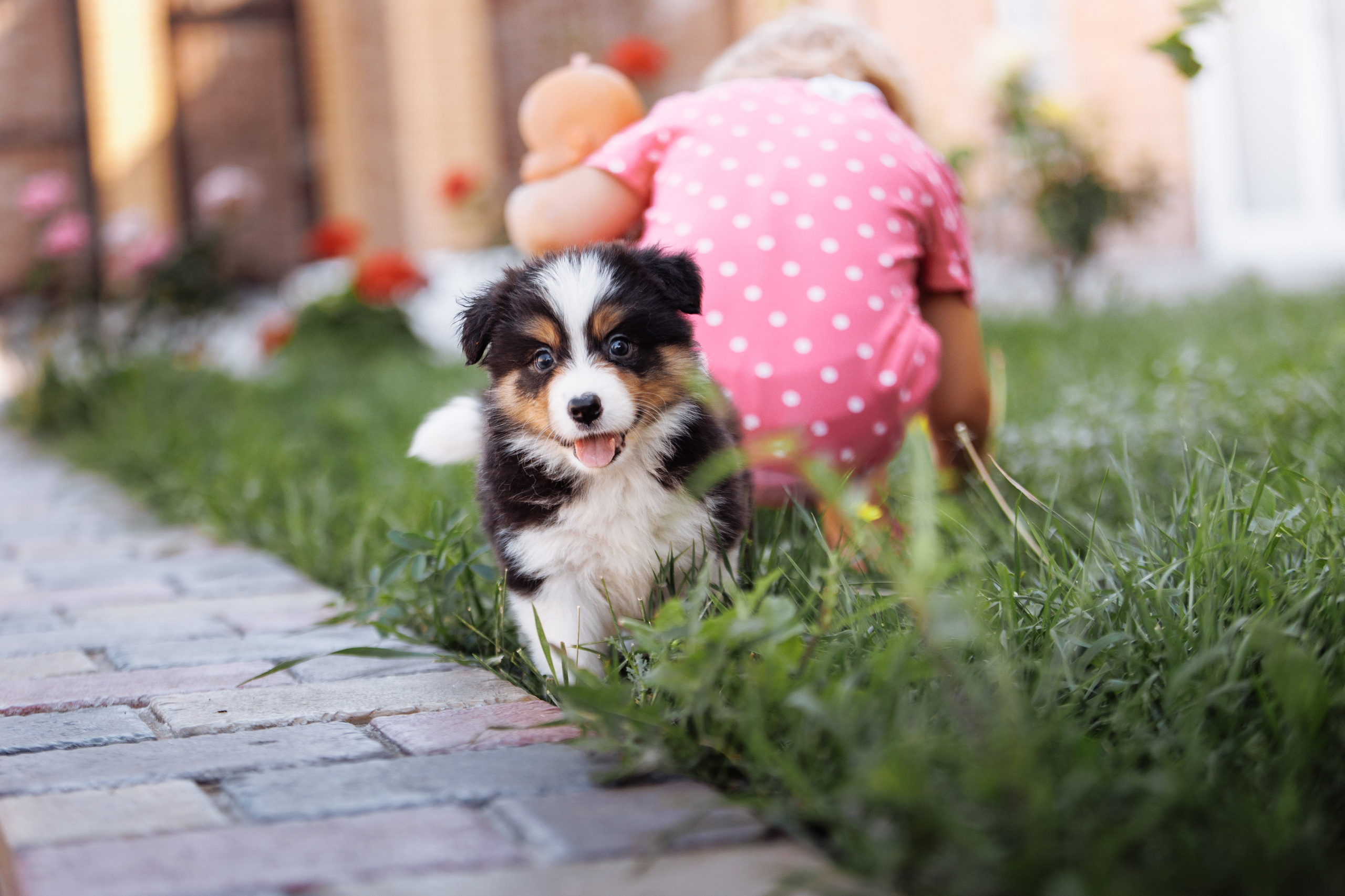 МММ — маленькое мягкое милое. О нас