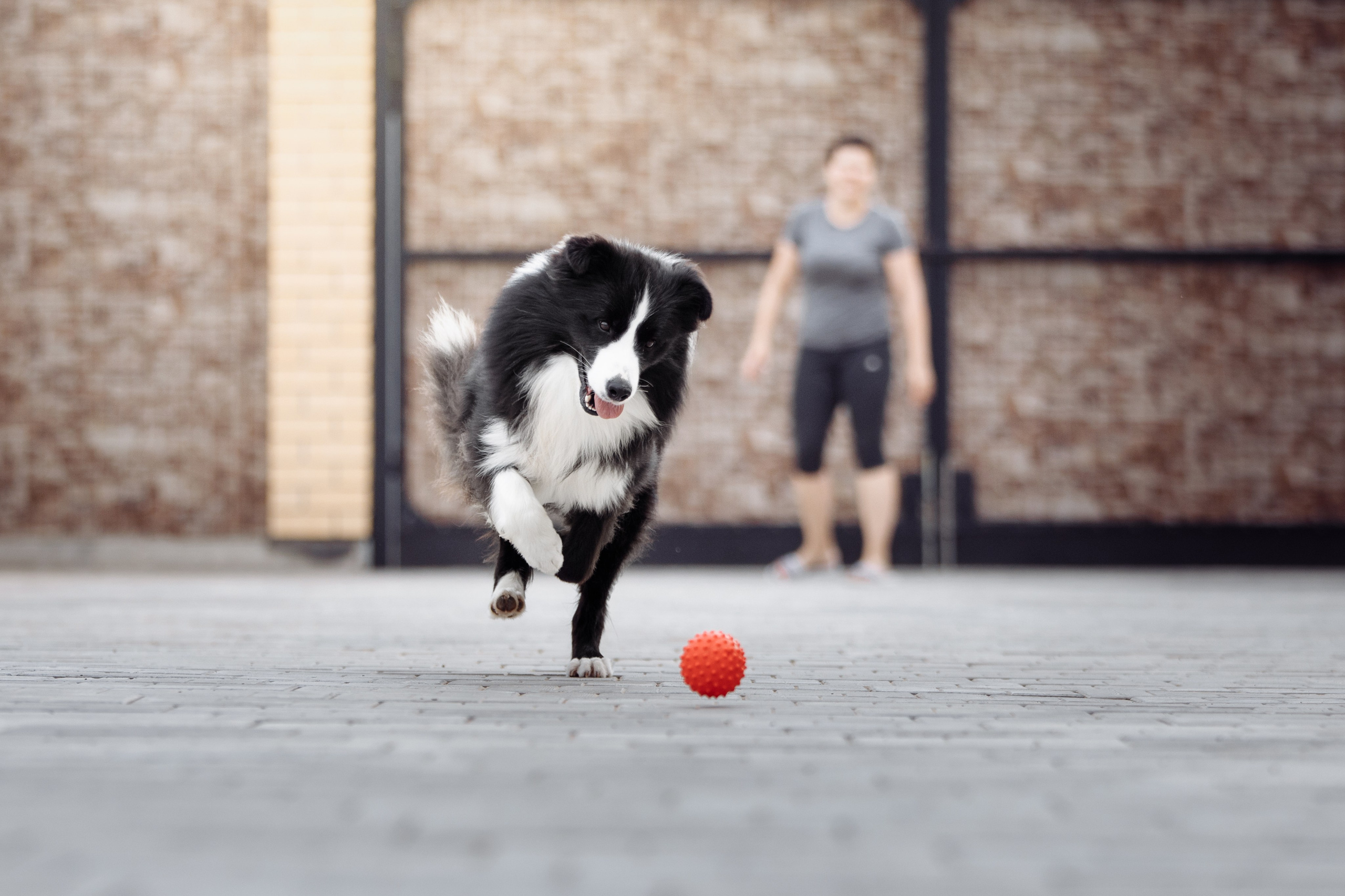 Свое место. О нас