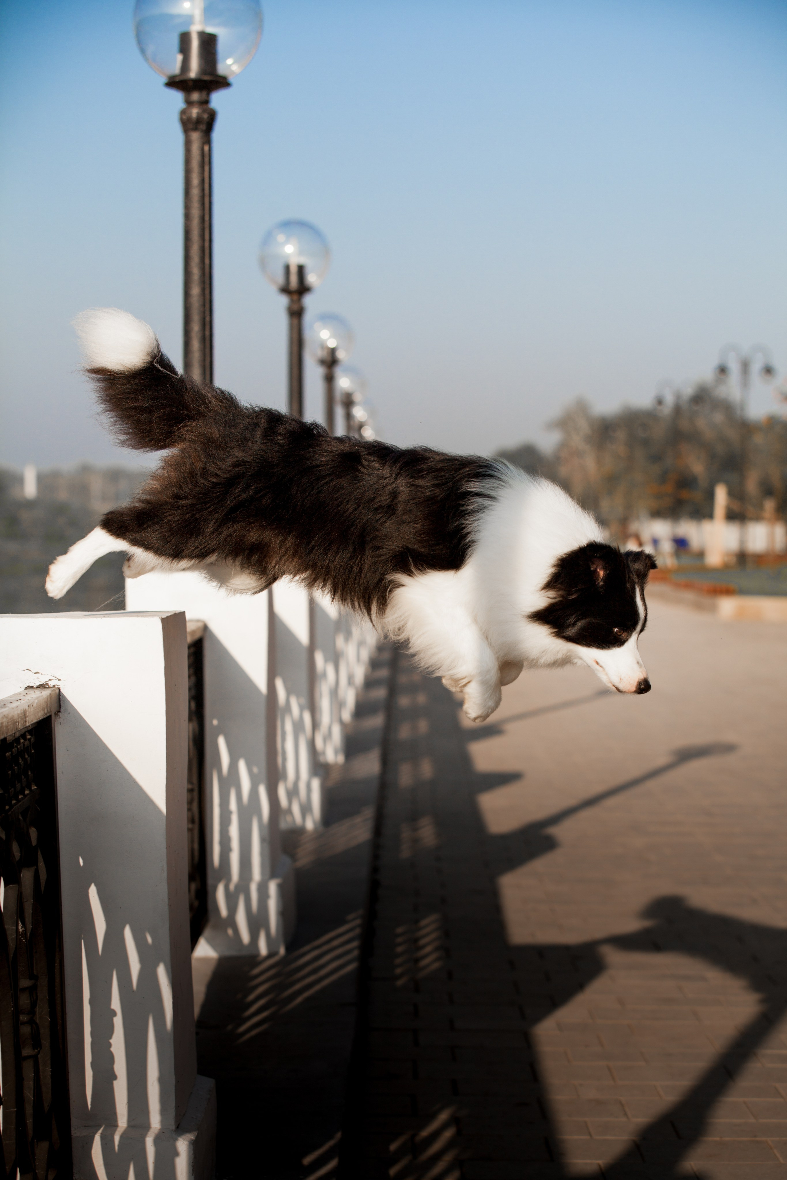 Сочный рассвет, на который решились. О нас