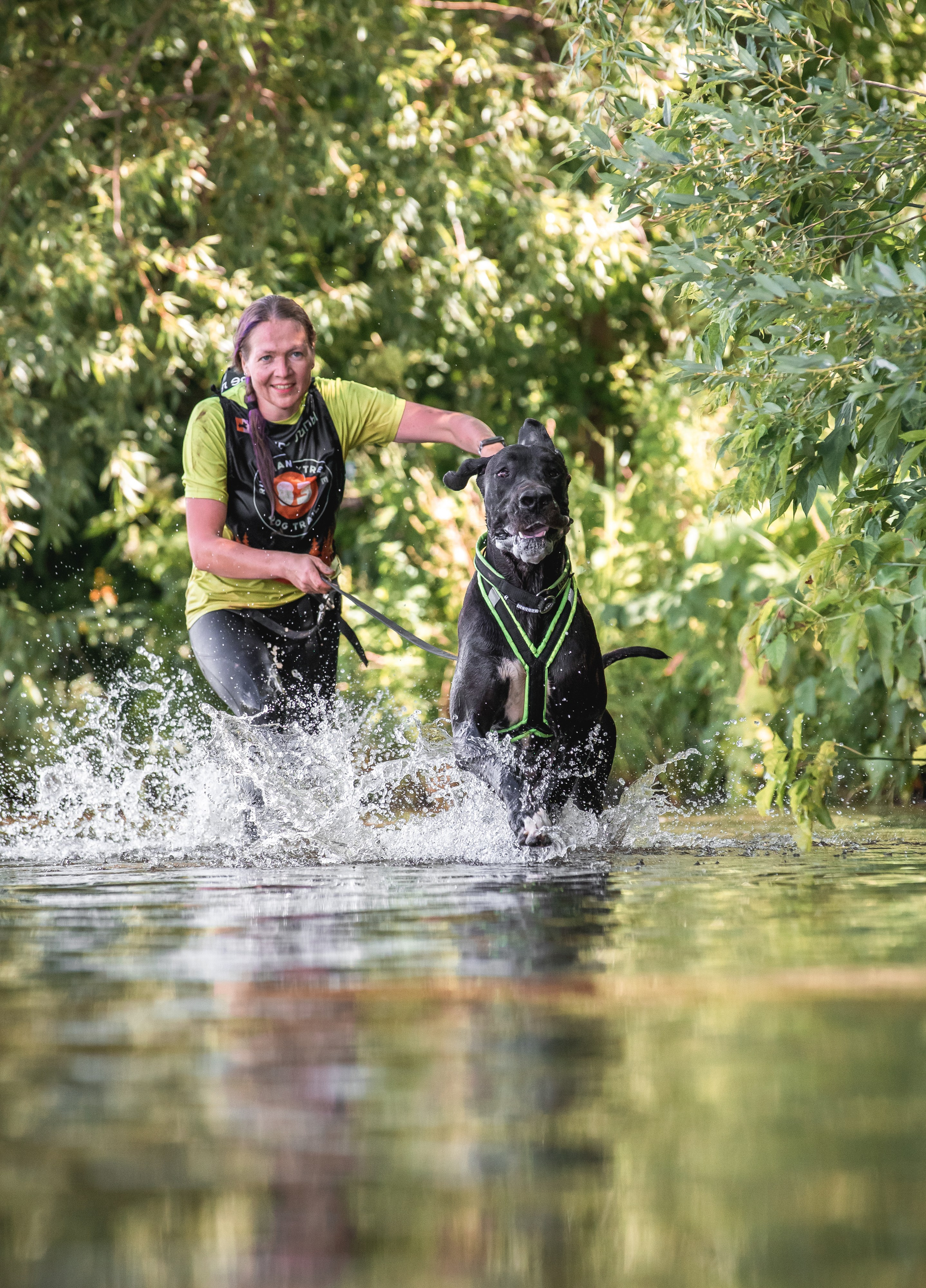 Репортажная съёмка спортивных мероприятий. ESHE_PHOTO Фотограф анималист в Москве и Московской области
