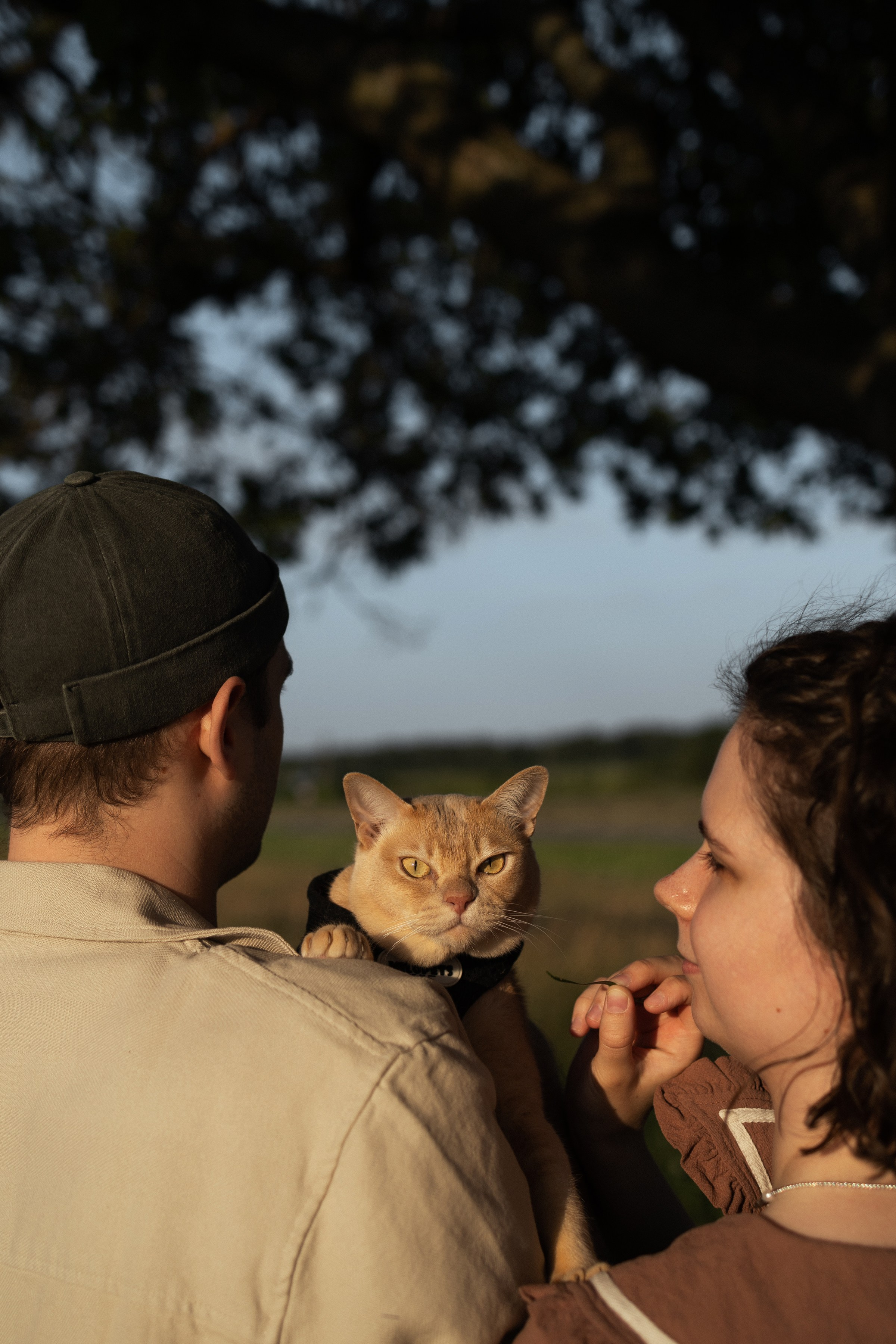 Лето. Поле. Любовь. Портретный фотограф СПб, женский фотограф, минимализм и эстетика