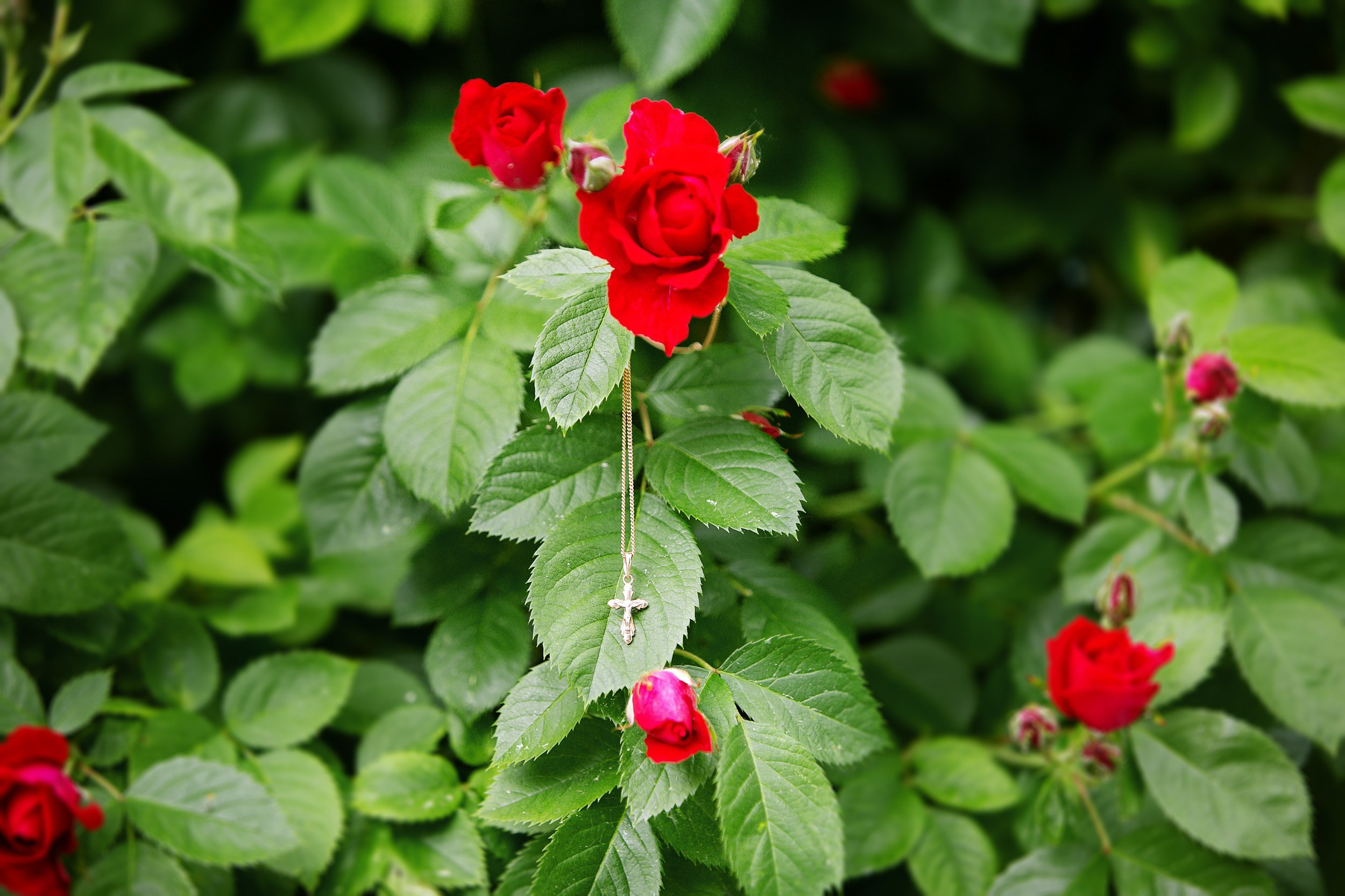 КРЕЩЕНИЕ ЕСЕНИИ Минск. Фотограф новорожденных Оксана Полевская