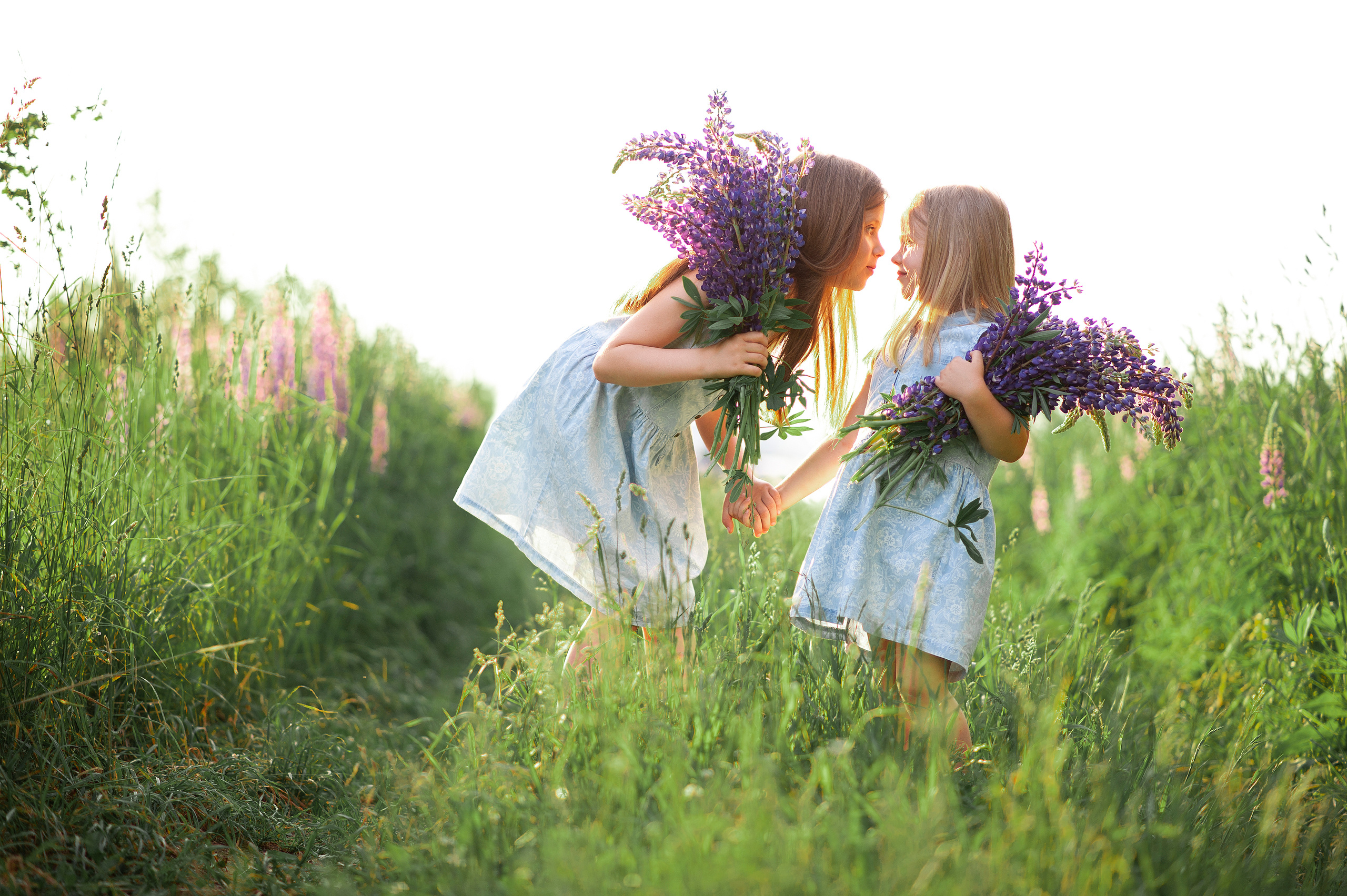 Фотосессия с люпинами Рязань