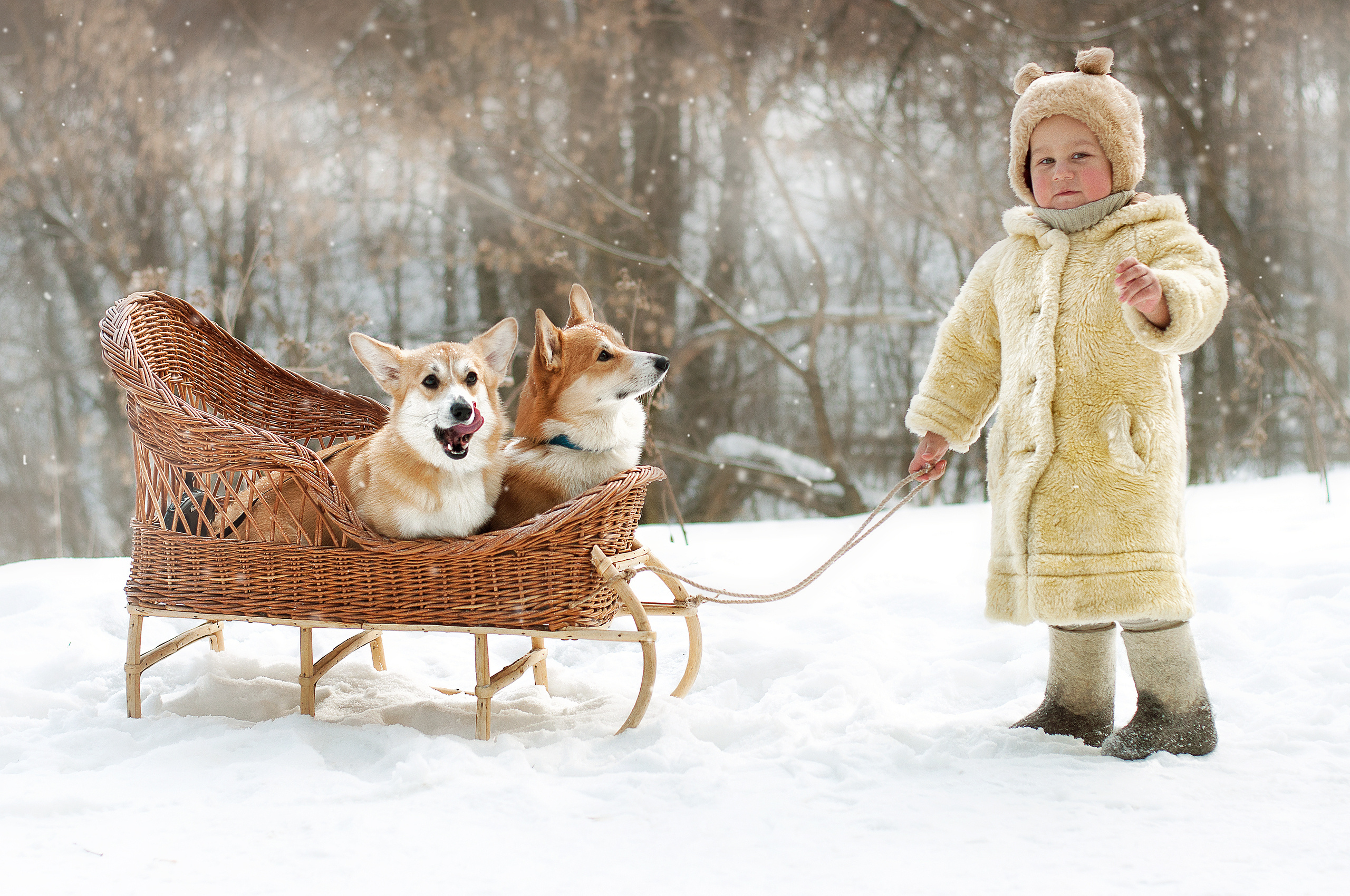 Семейная фотосессия в Лейпциге. Семейный и свадебный фотограф в Рязани Виктория Андреева