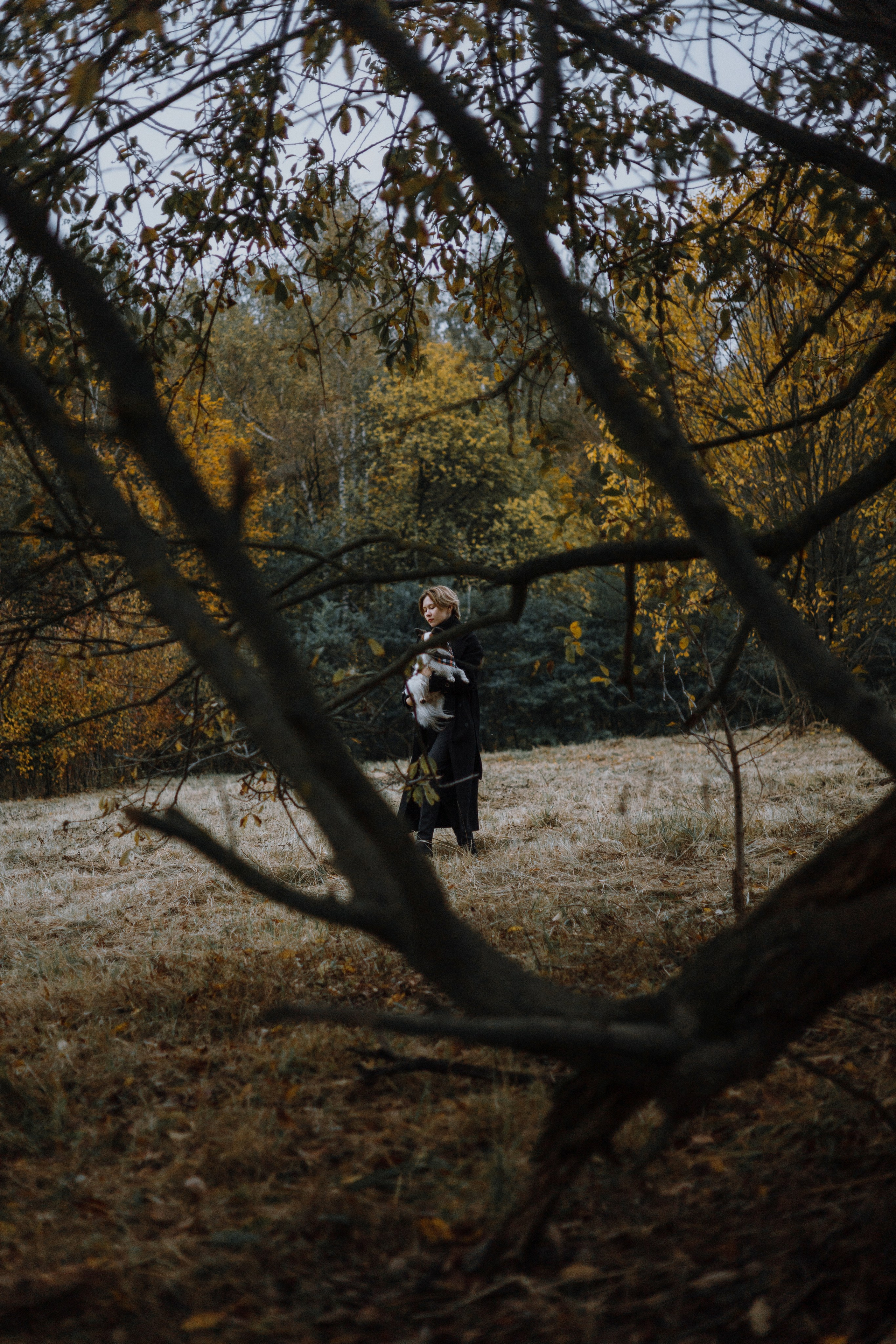 Маша, Катя, Астрид и Мася. Фотограф-анималист Богданова Полина