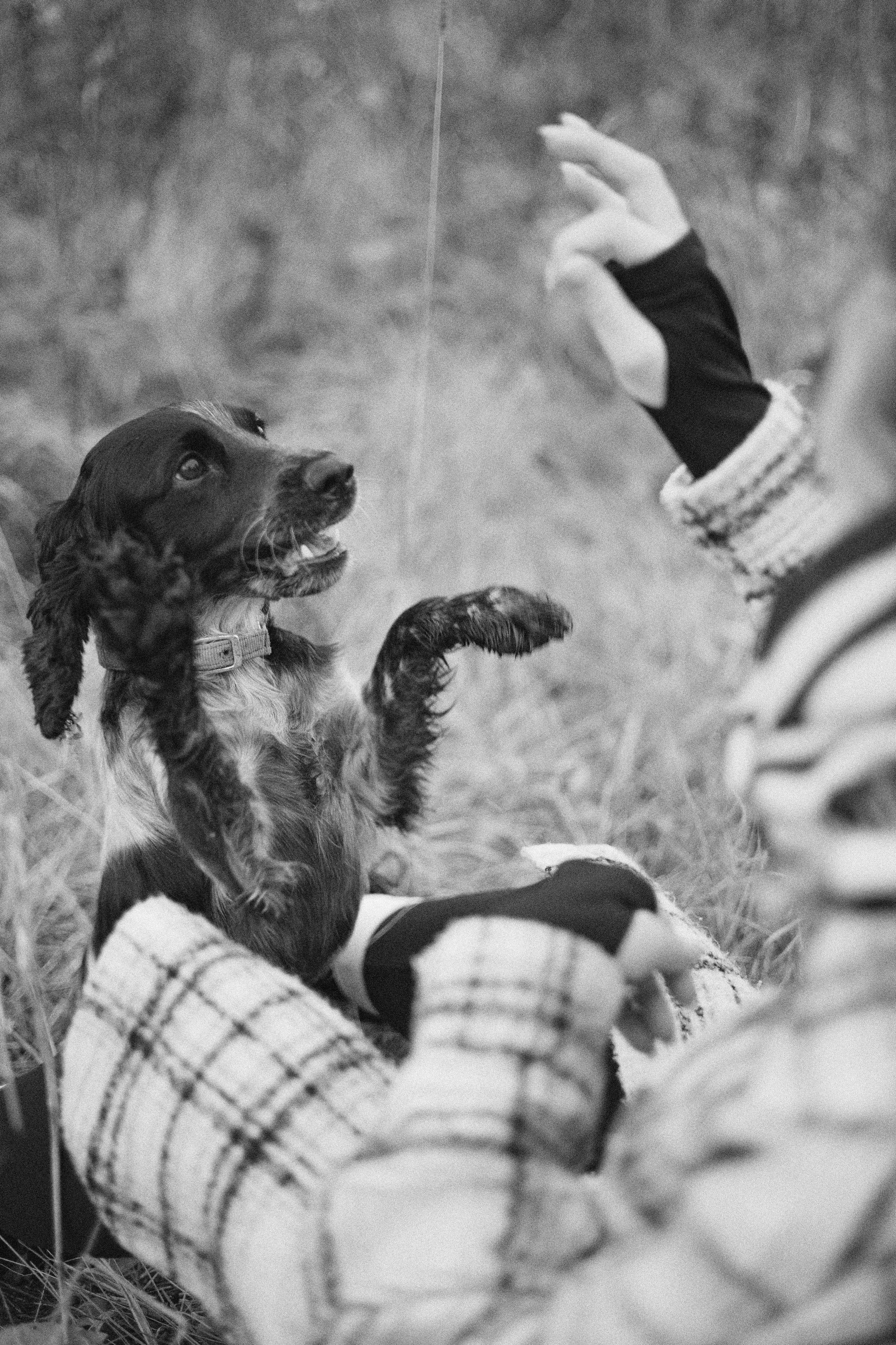 Вика и Ава. Фотограф-анималист Богданова Полина