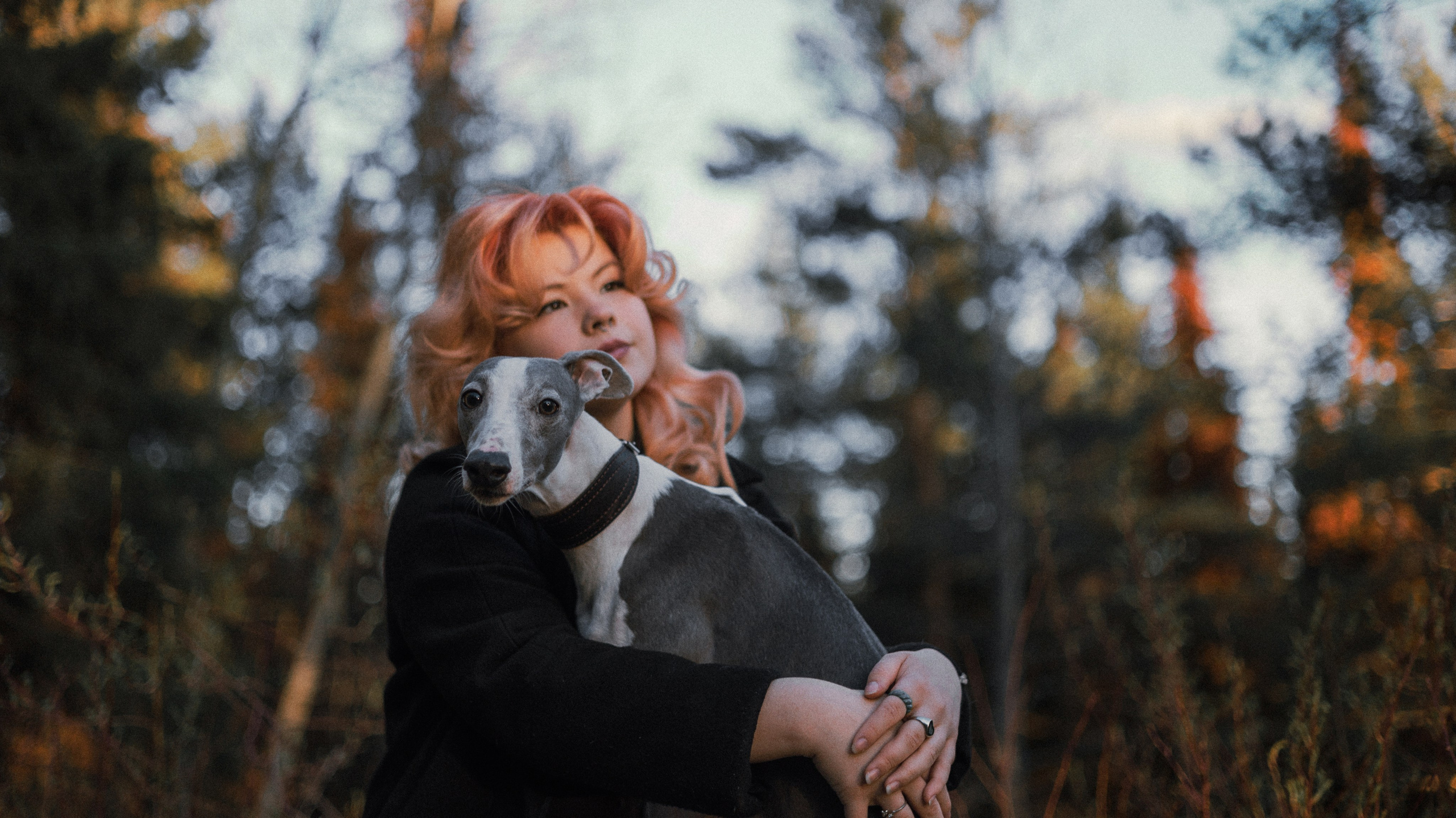 Вика, Джем и Белла. Фотограф-анималист Богданова Полина