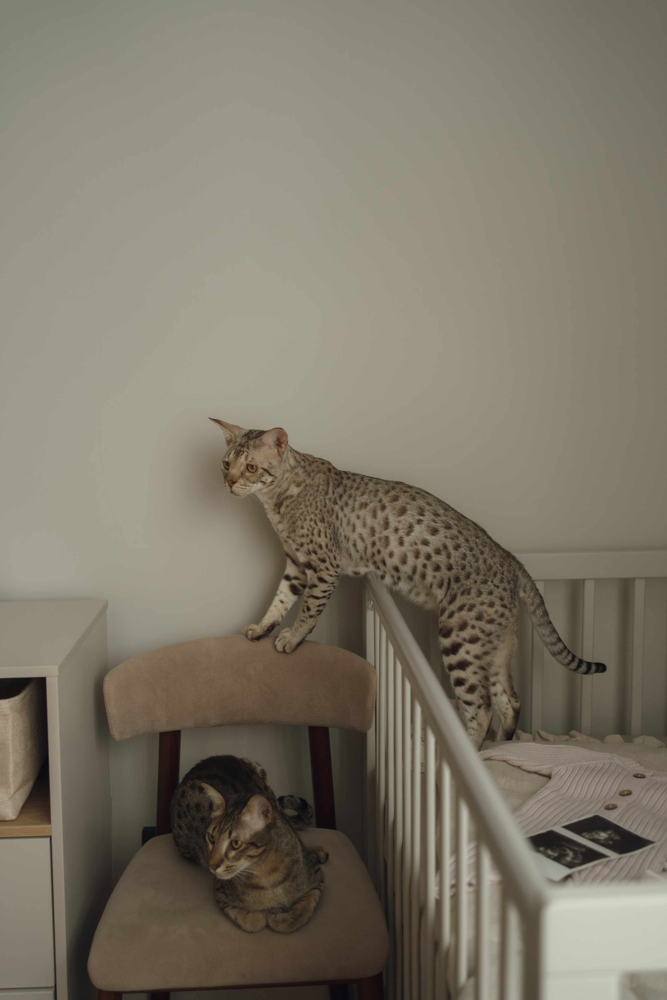 Андрей и Екатерина. Семейный и детский фотограф Плесецк, Мирный Марина Забабурина