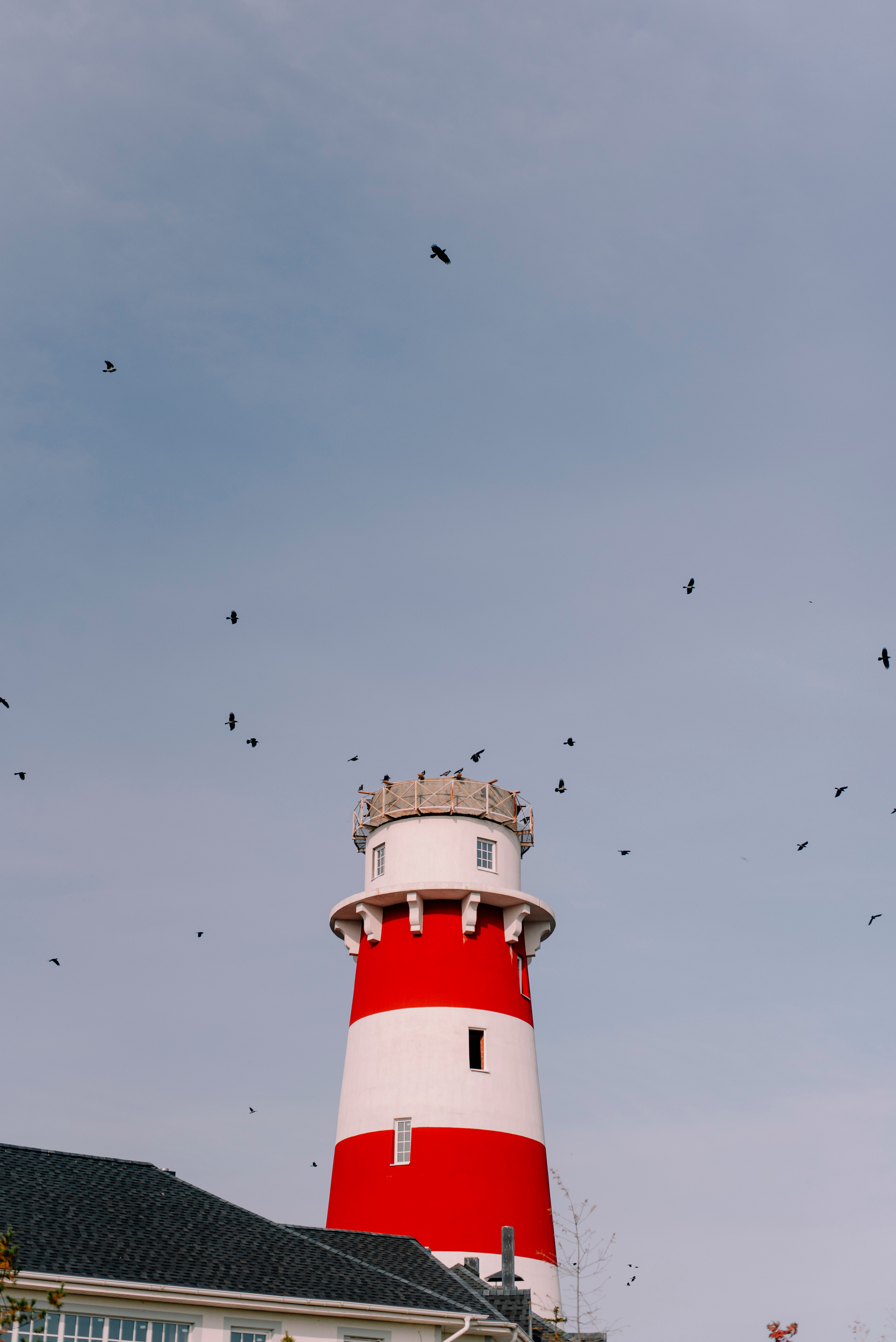 Лена и Андрей — осенняя прогулка. Семейный и свадебный фотограф в Рязани Лиза Голованова