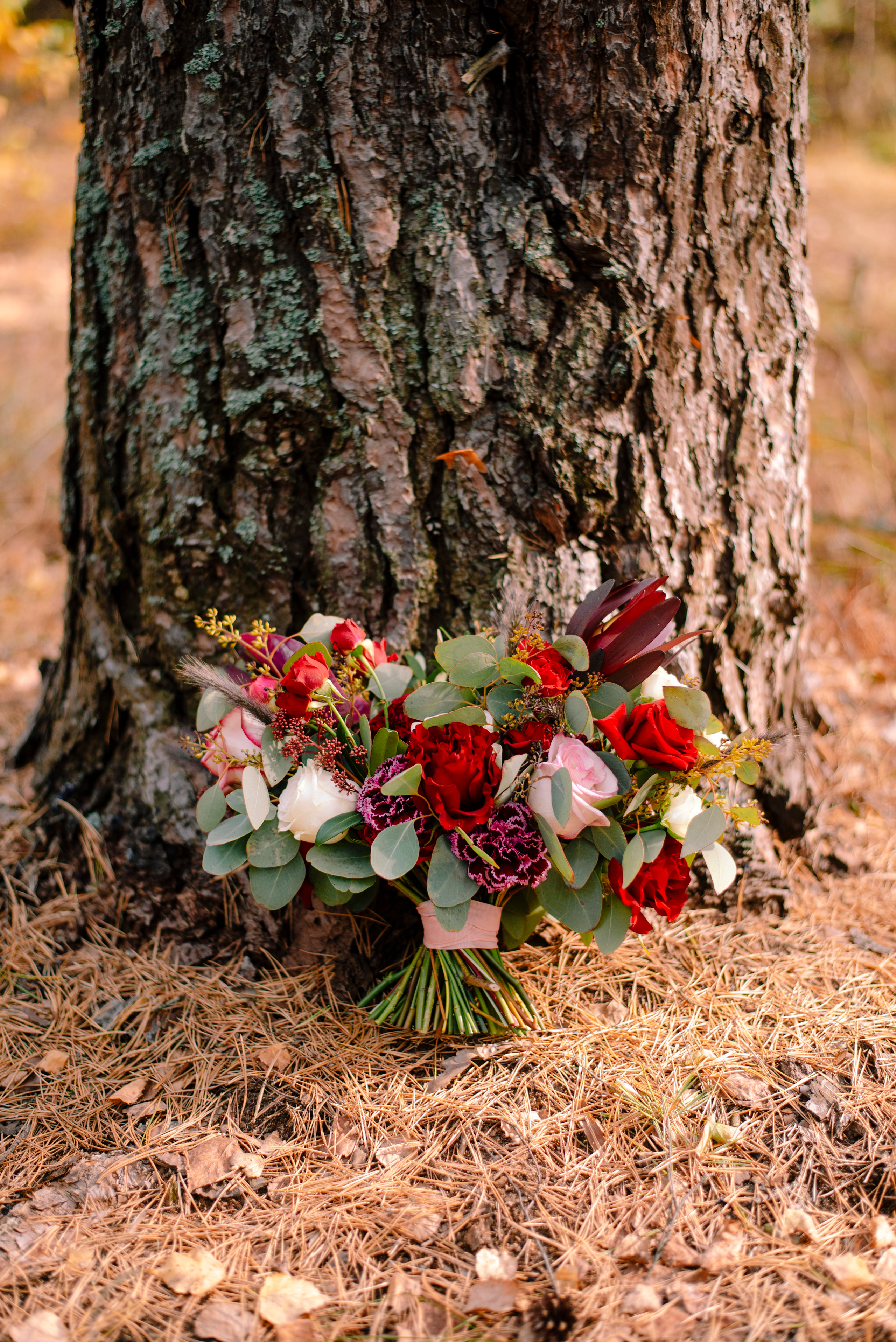 Лена и Андрей — осенняя прогулка. Семейный и свадебный фотограф в Рязани Лиза Голованова