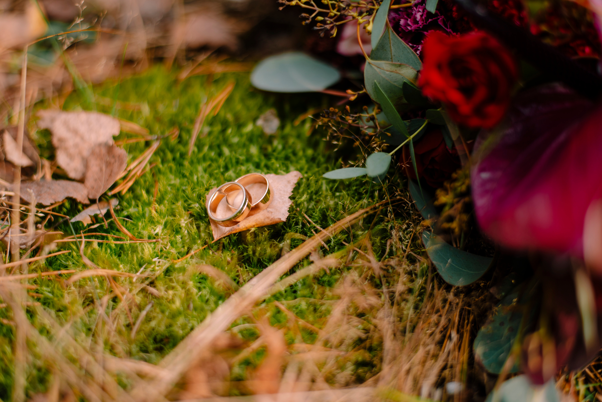 Лена и Андрей — осенняя прогулка. Семейный и свадебный фотограф в Рязани Лиза Голованова