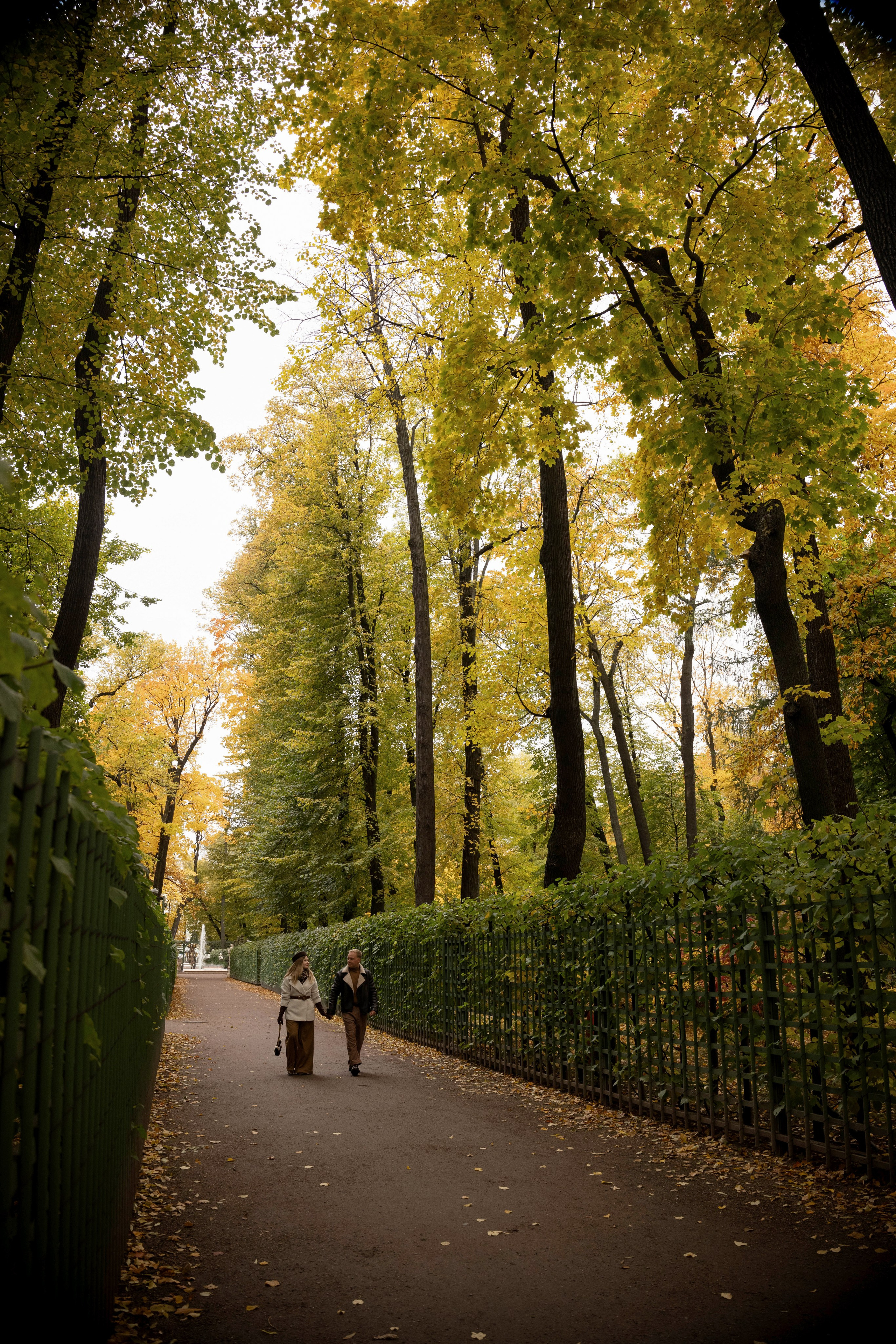 Алина и Никита. Свадебный и портретный фотограф