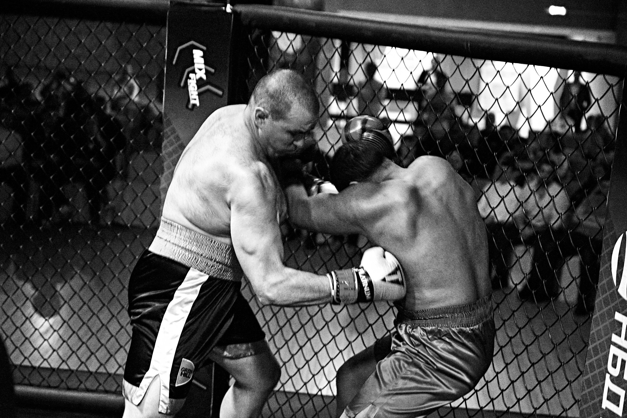 Бои. Маляревич Дмитрий свадебный фотограф