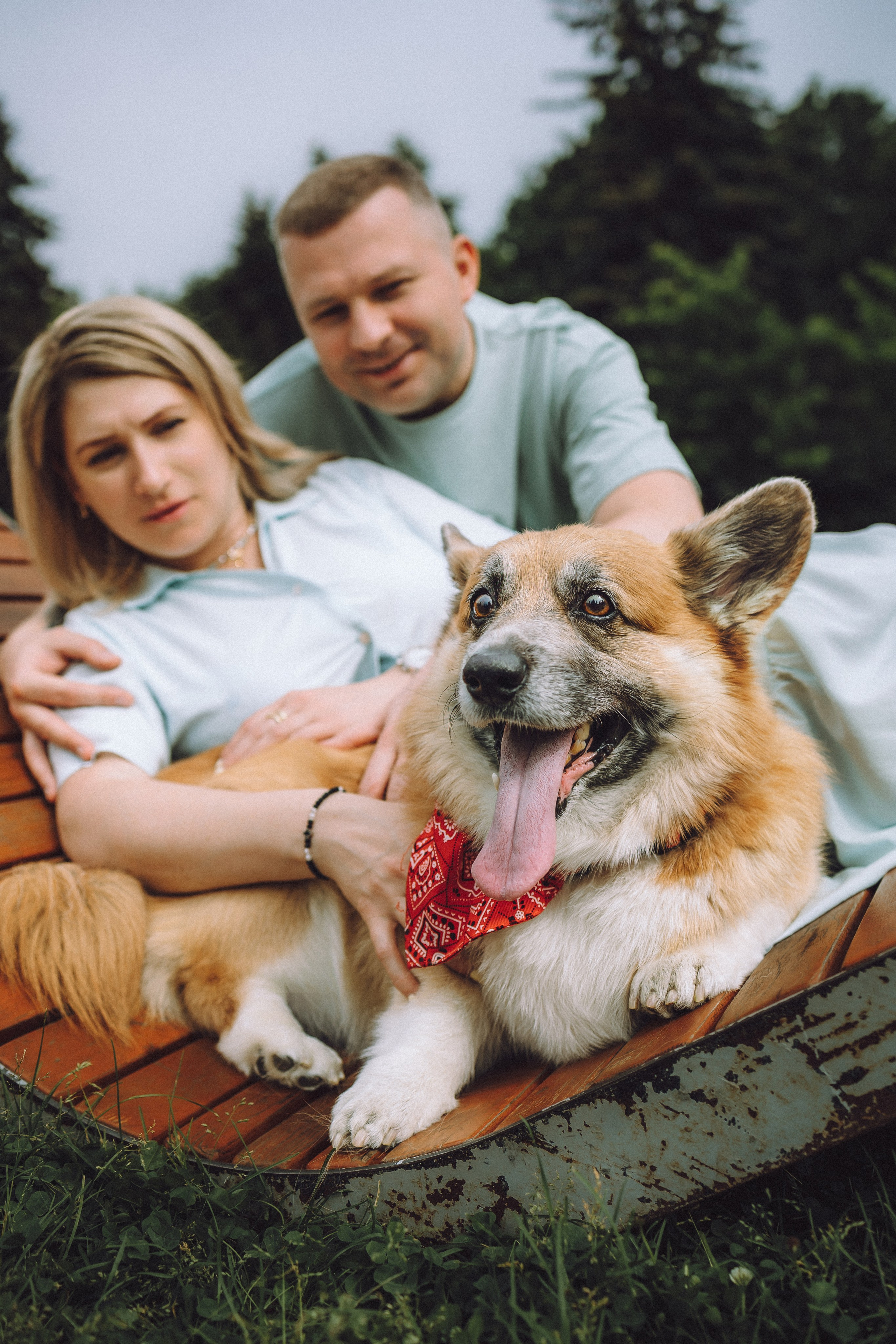 Ира, Леша и Харли