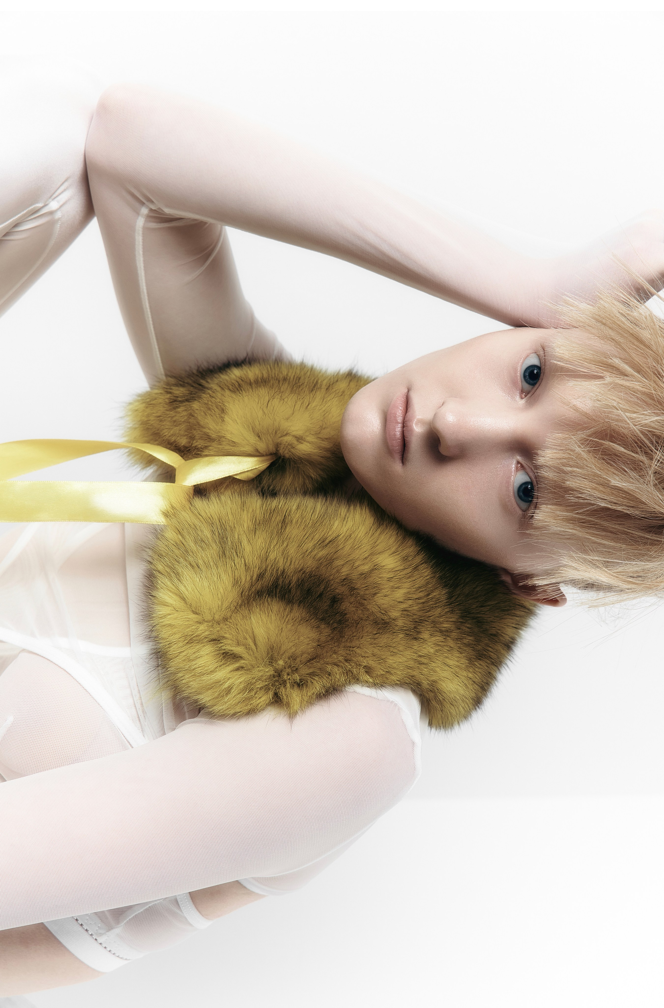 Plastic. DDPRODUCTION CASES