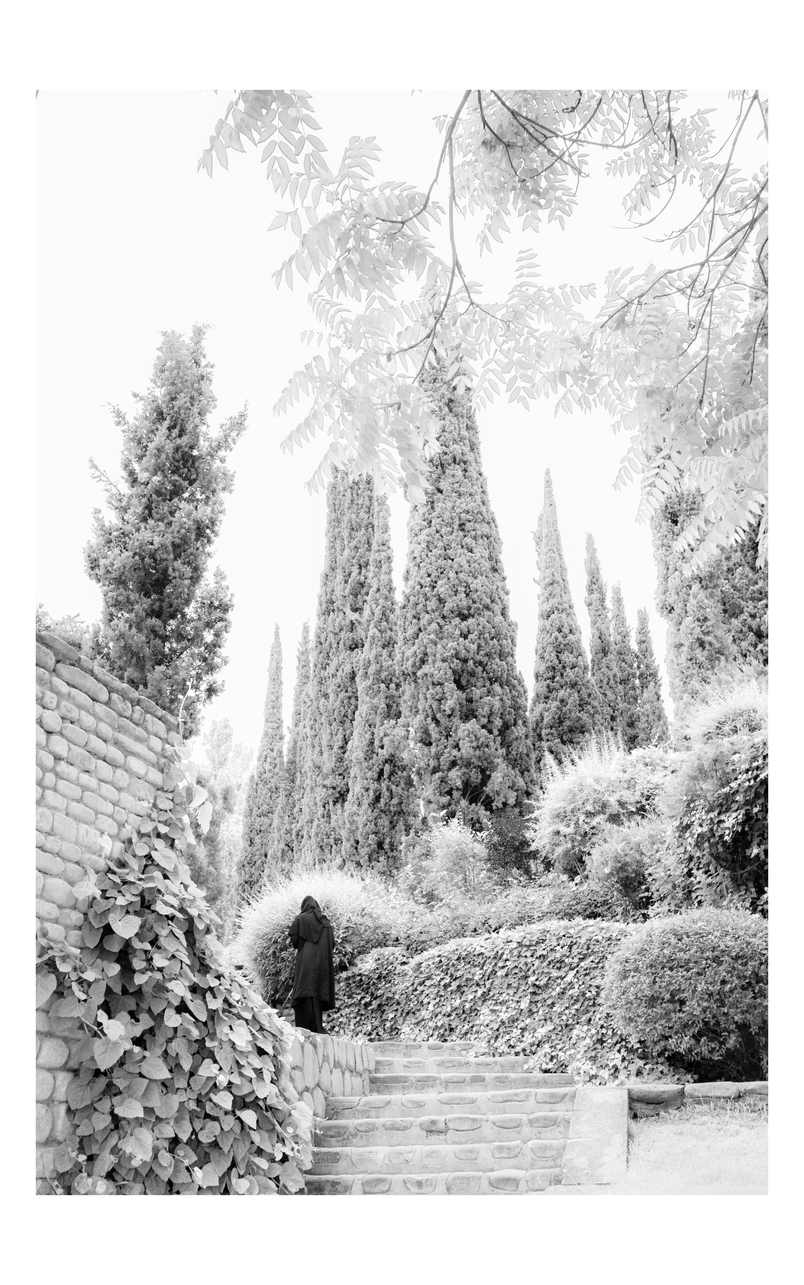 Фотографии из Грузии для интерьеров. Фотографии Руслана Сайдалиева (Рус Сай)