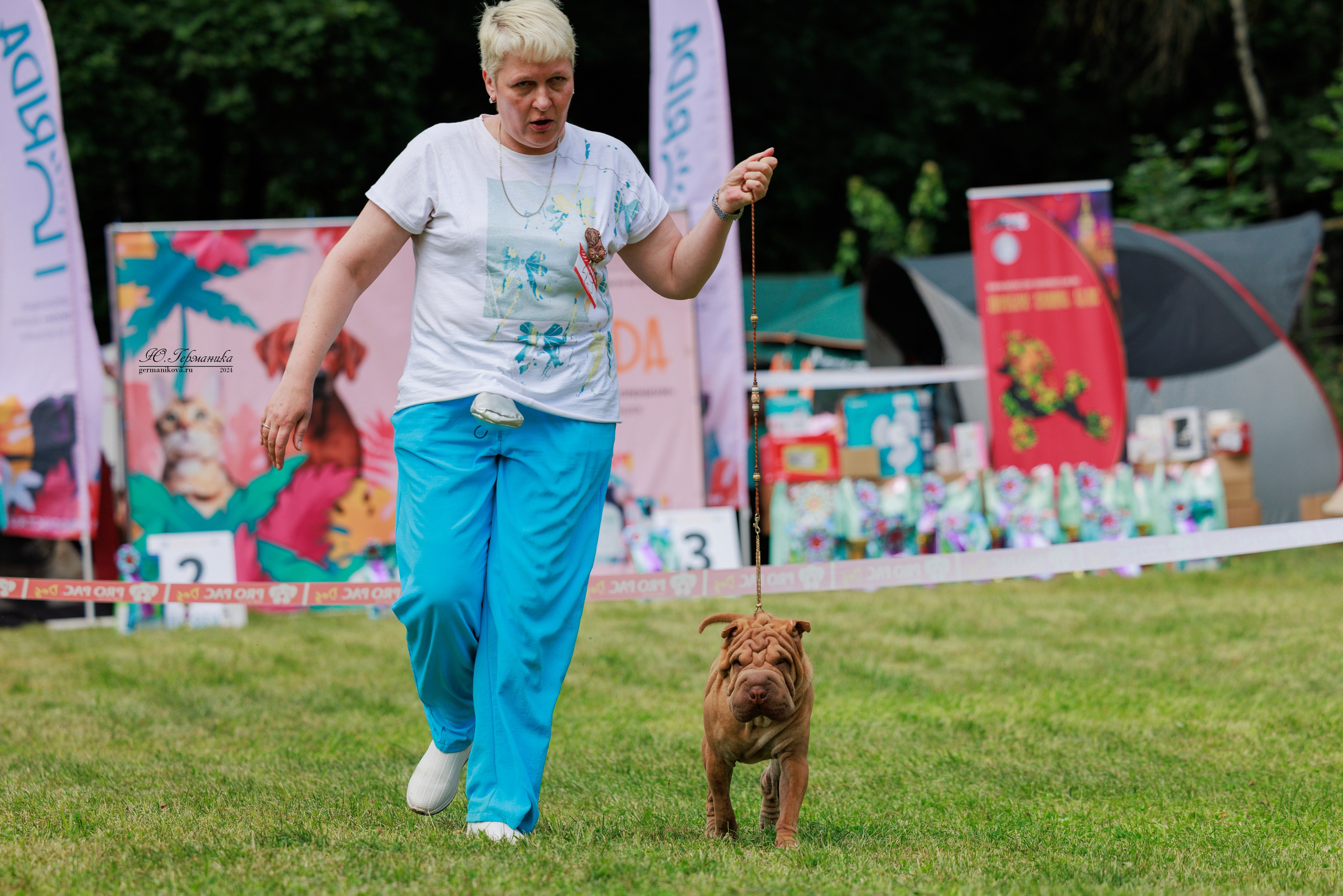 Ярославль 21.07.24 и Балашиха 13.07.24. Фотограф-анималист Юлия Германика