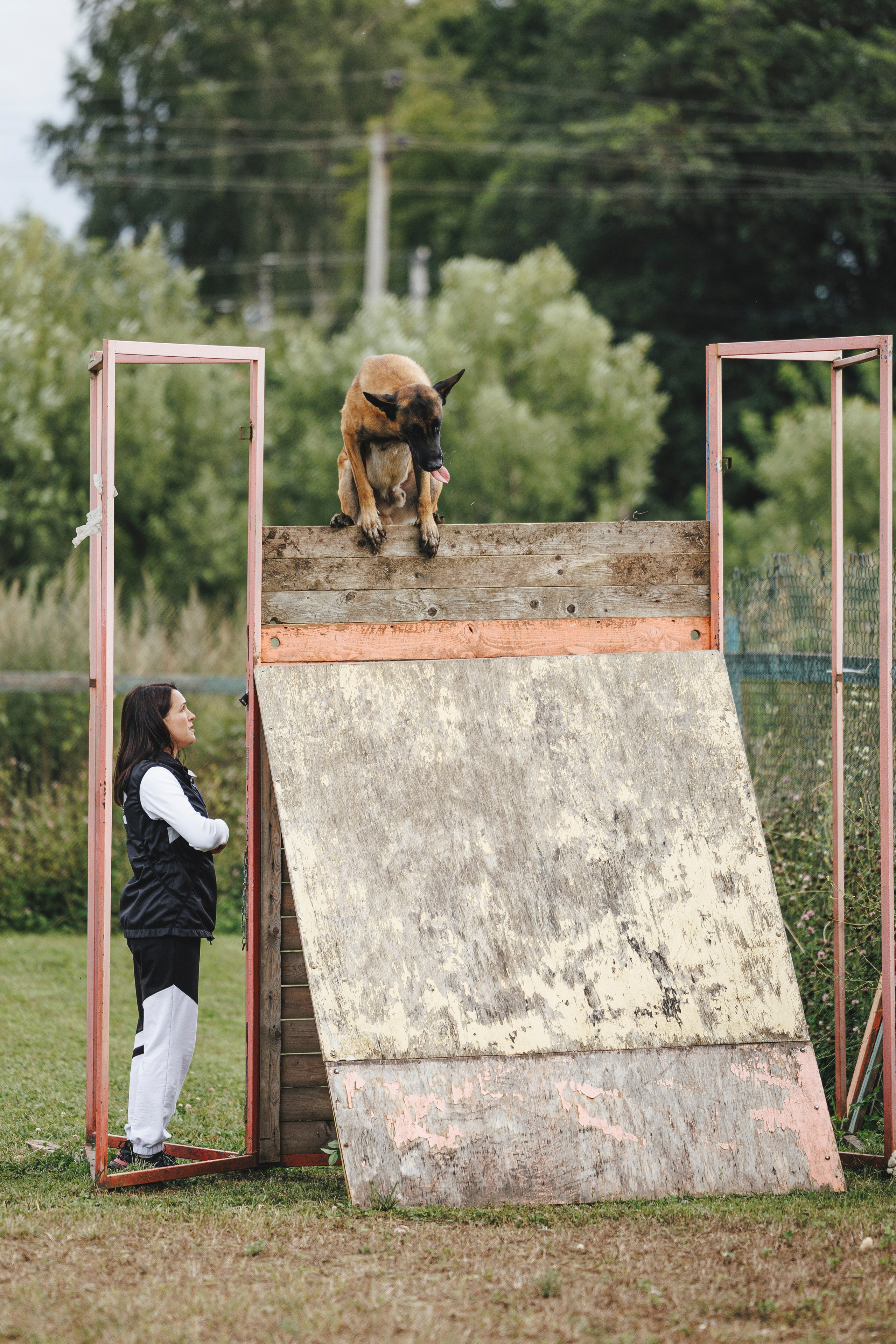 08.08.25-10.08.25 ЧР по мондьорингу г. Вологда. Фотограф-анималист Анна Маринич