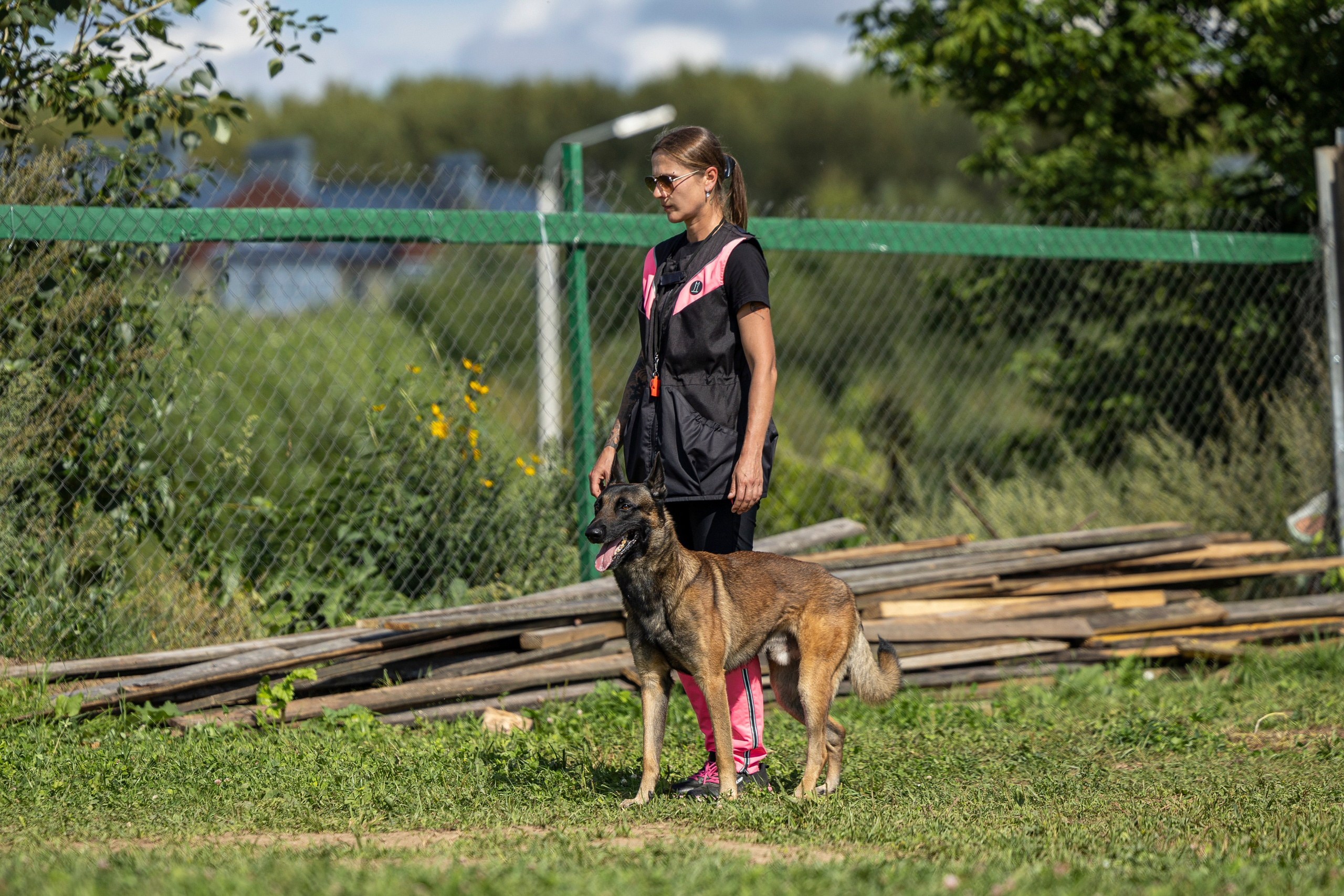Соревнования по Мондьорингу г. Вологда 10-11.08.2024. Фотограф-анималист Анна Маринич