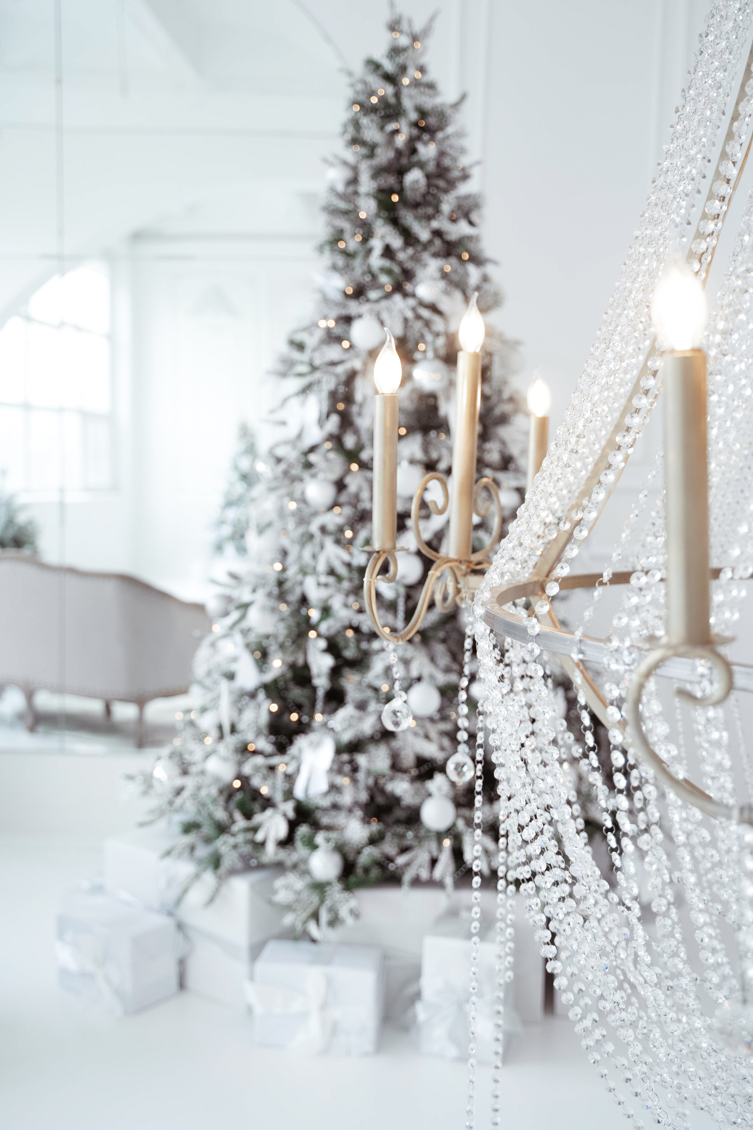 Зал Ренессанс. Фотограф г. Хабаровск. Семейные и индивидуальные съёмки