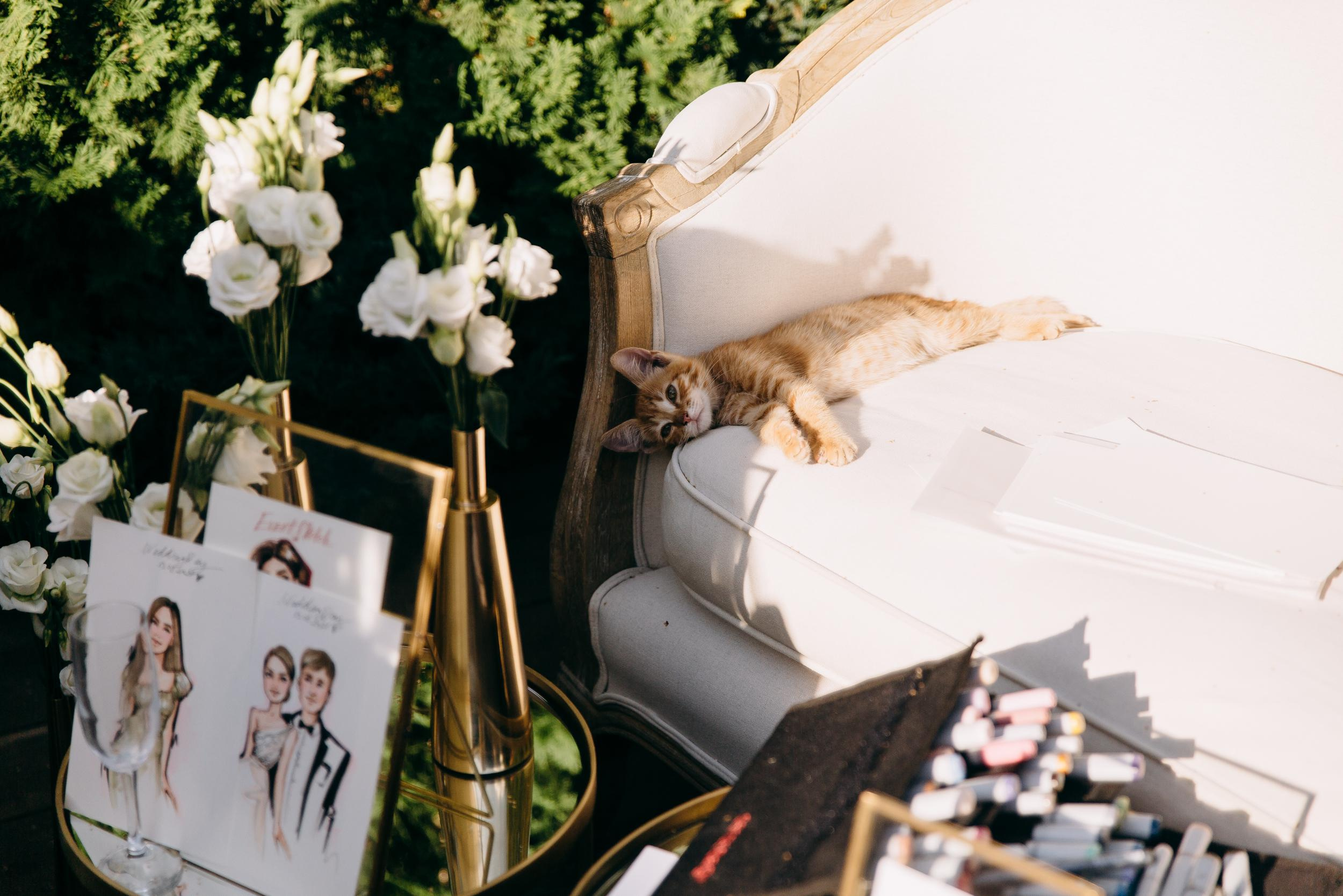 Саша+Полина. Свадебный и семейный фотограф в Москве Андрасюк Елена