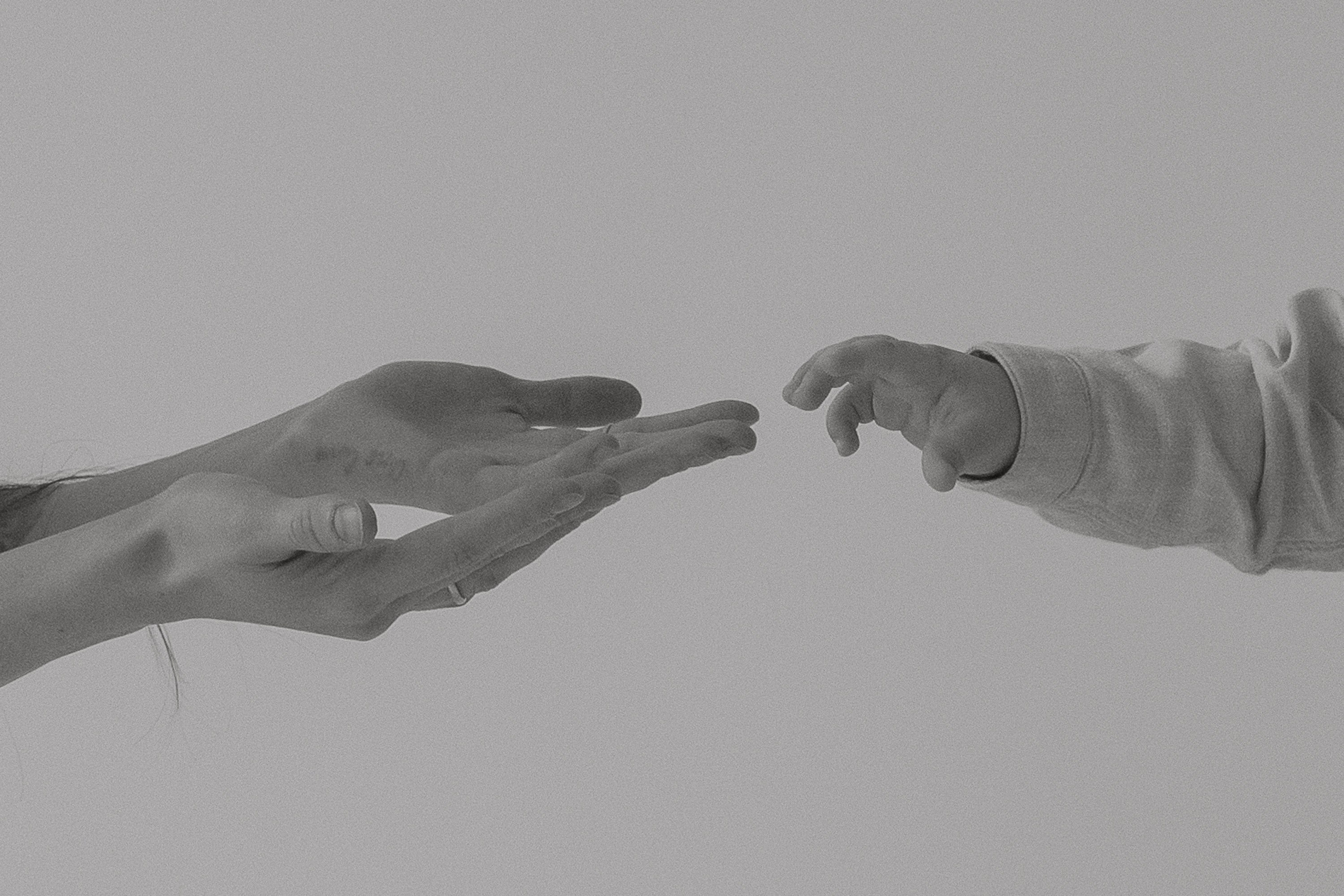 Лавр. Семейный фотограф в Москве Анастасия Марти