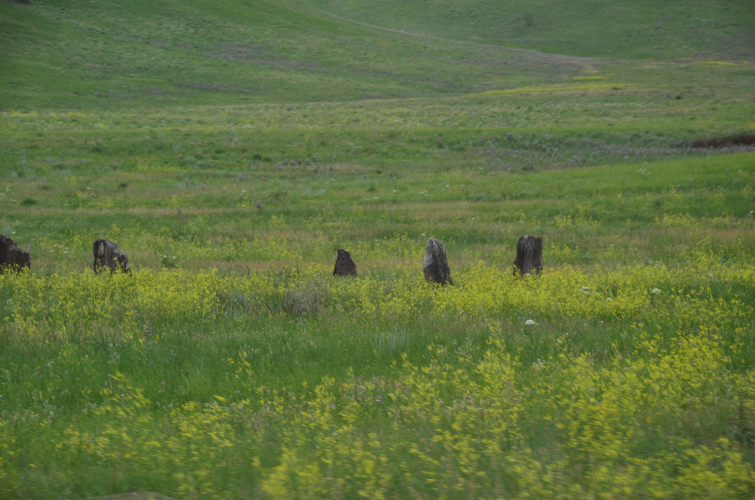 Дары природы. Фотограф viktor viktor