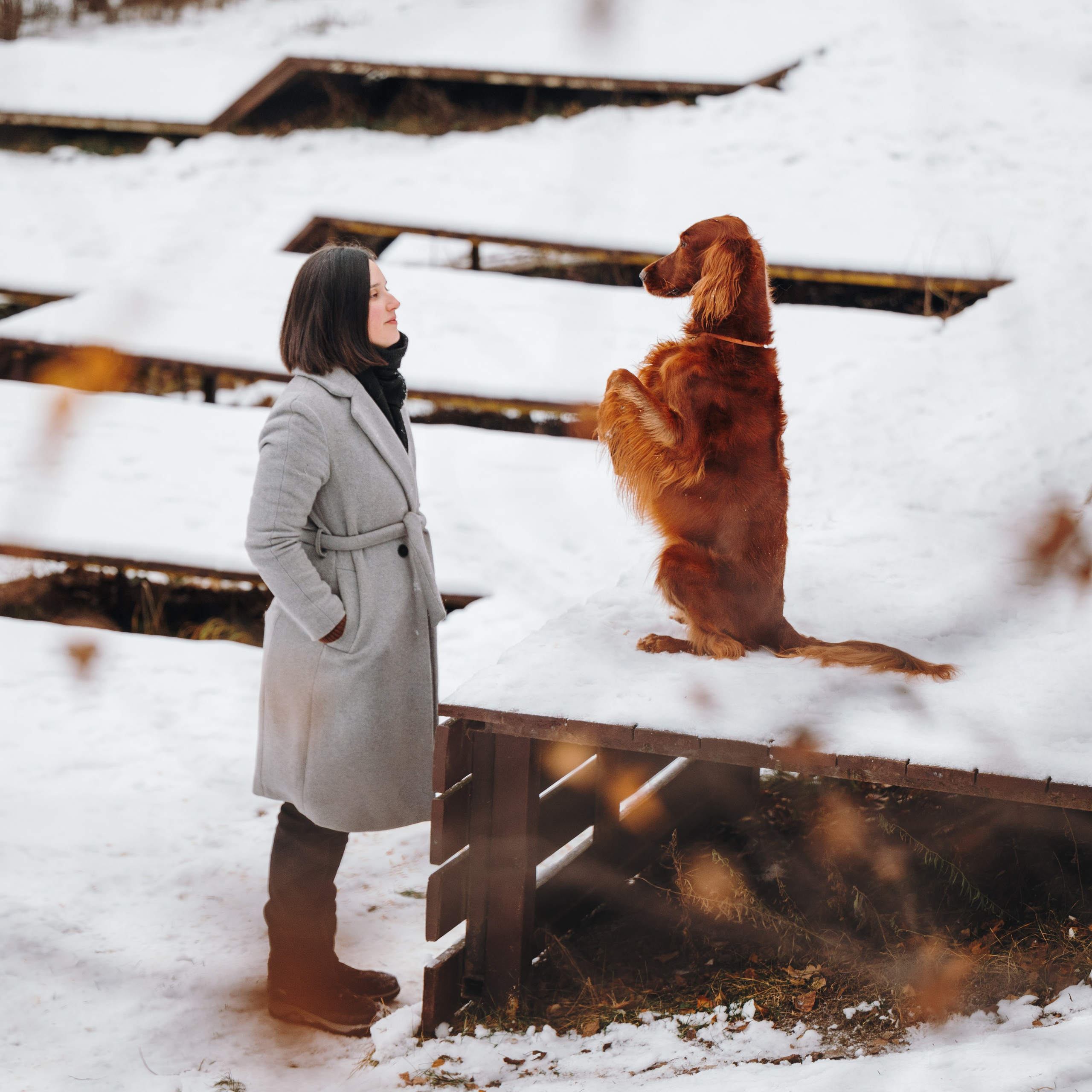 Маша и Лика. Семейный фотограф анималист Ананьева Мария — Москва