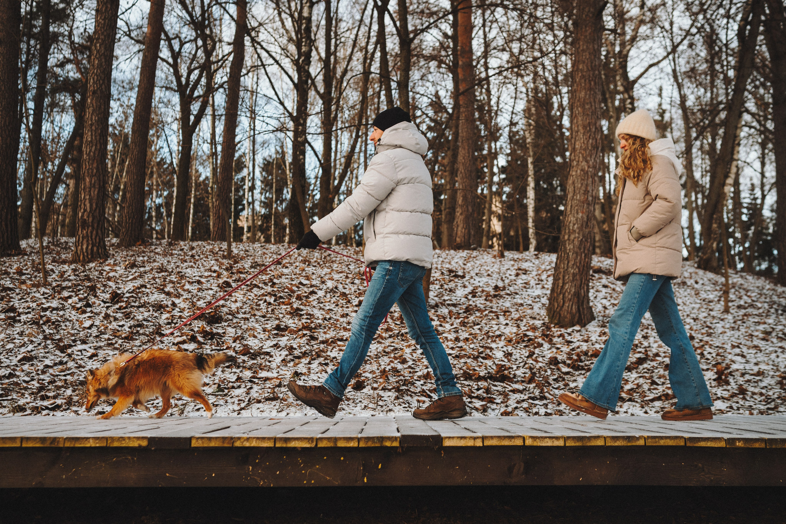 Дарья, Стас и Спика. Семейный фотограф анималист Ананьева Мария — Москва
