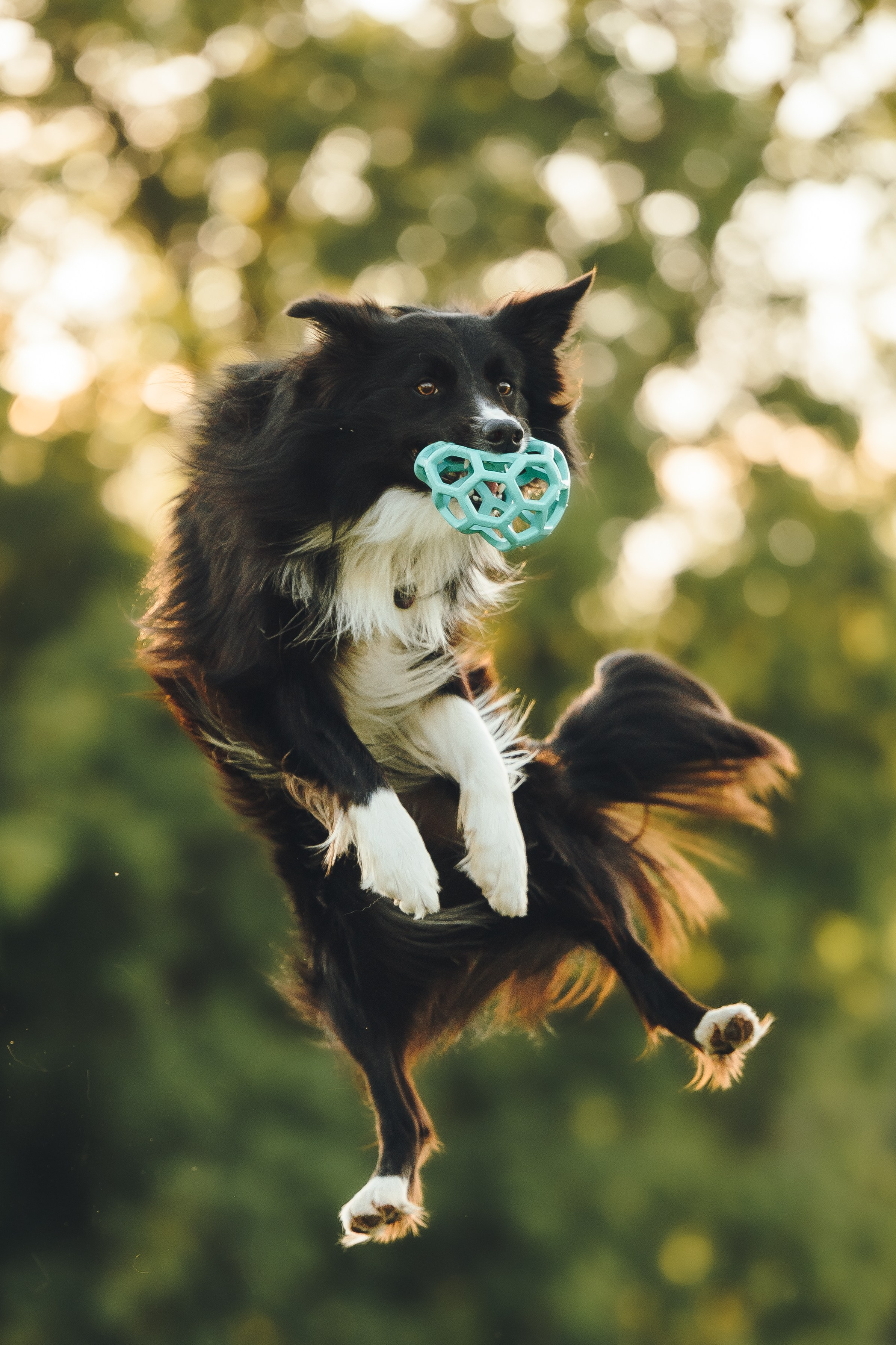 Марина и Эдж. Семейный фотограф анималист Ананьева Мария — Москва