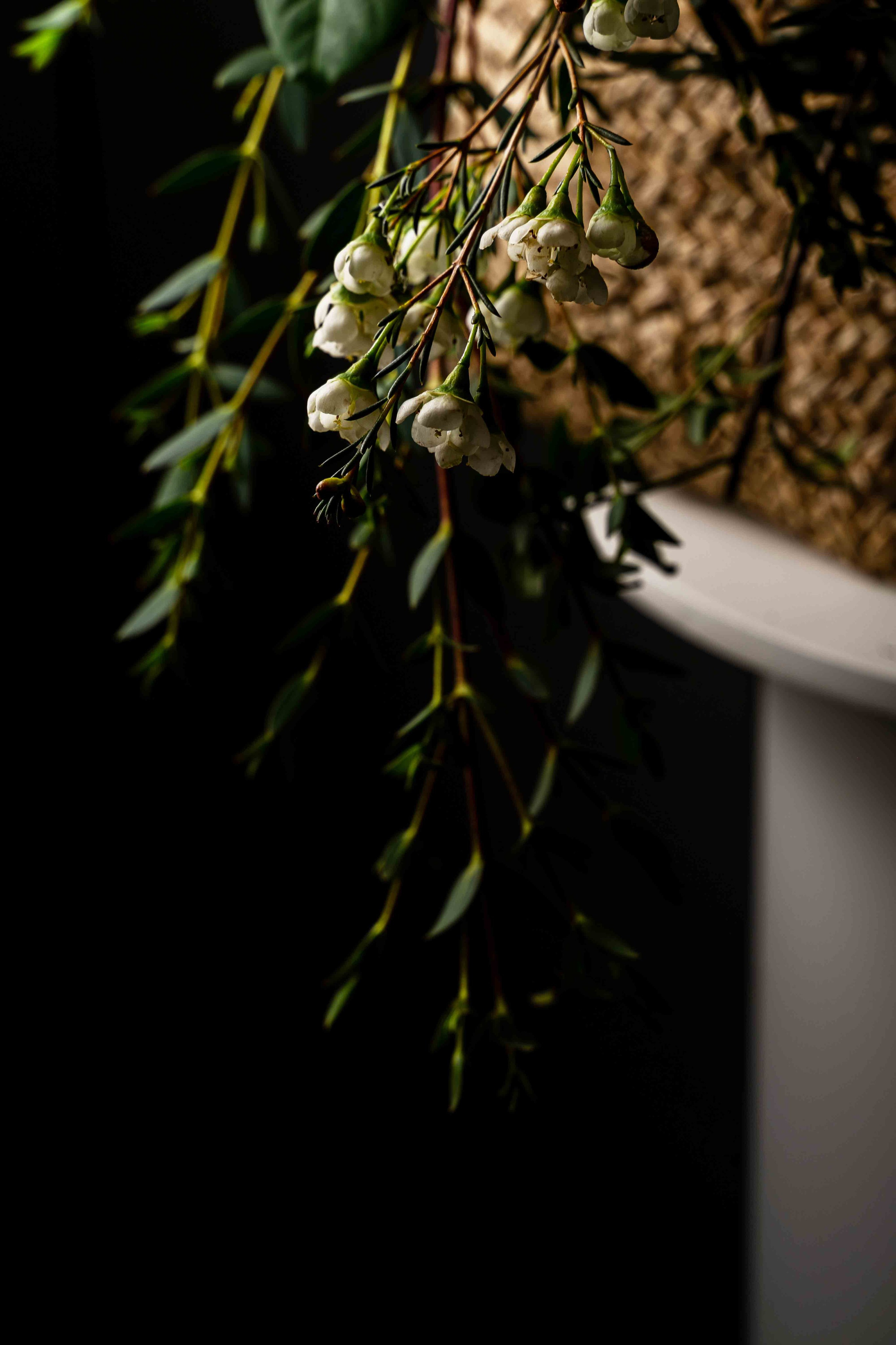 Букеты со сладостями. Фотограф и видеограф в Москве и Абу Даби Мария Кулагина