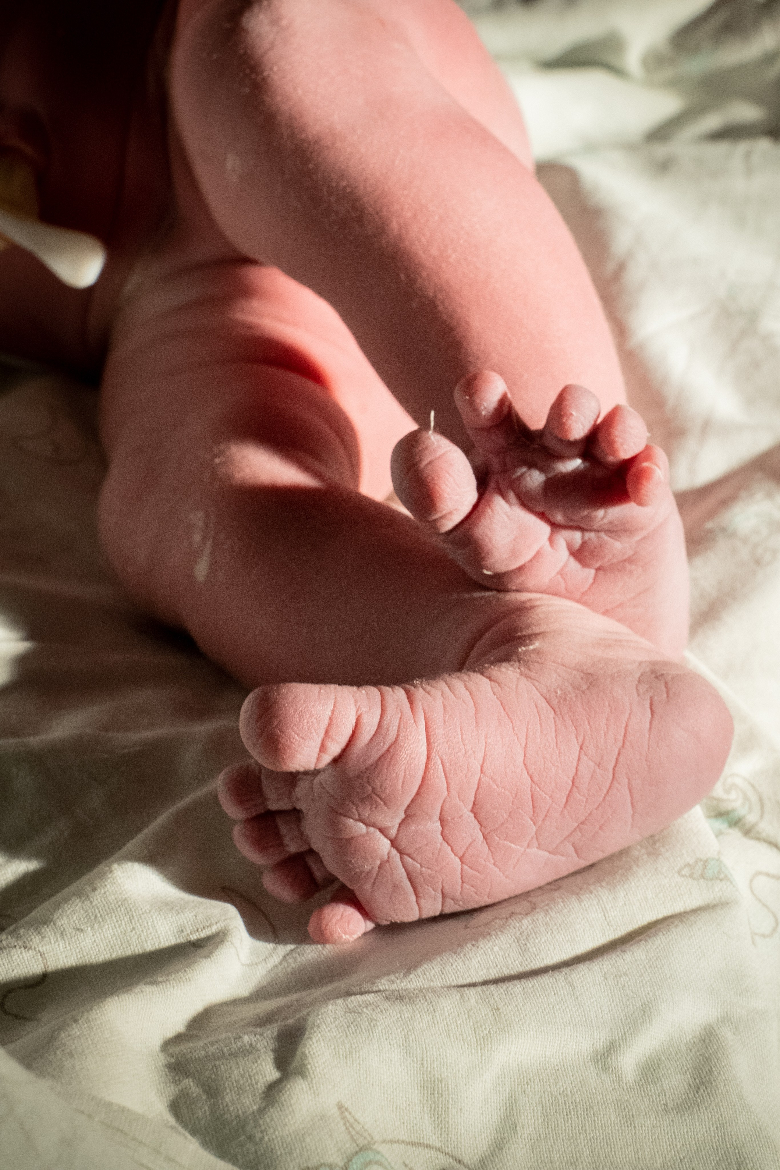 Фотограф на роды в Москве. Фотограф на роды в Москве Алла Rockymouse