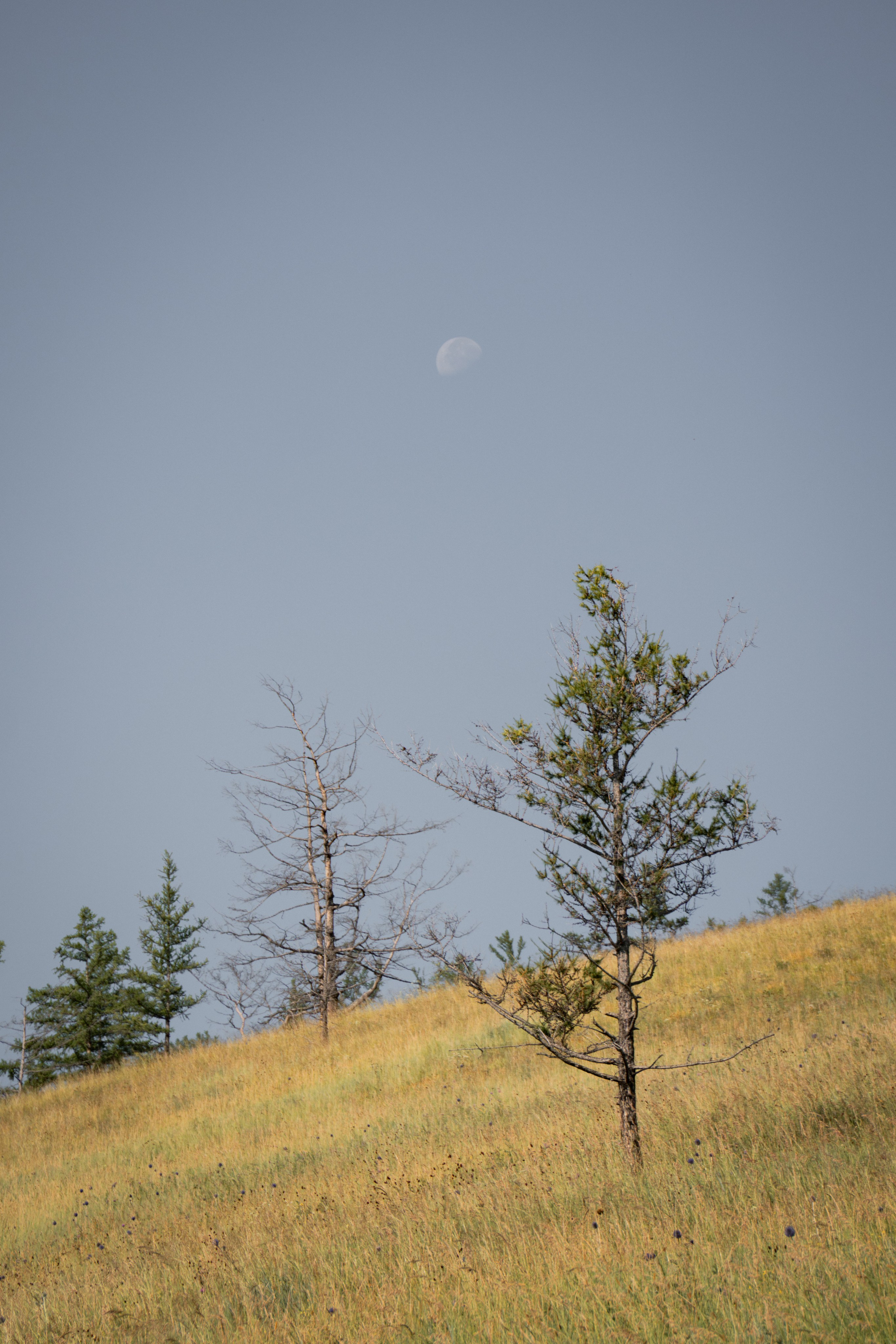 BBR 2026 — Baikal Bikepacking Race