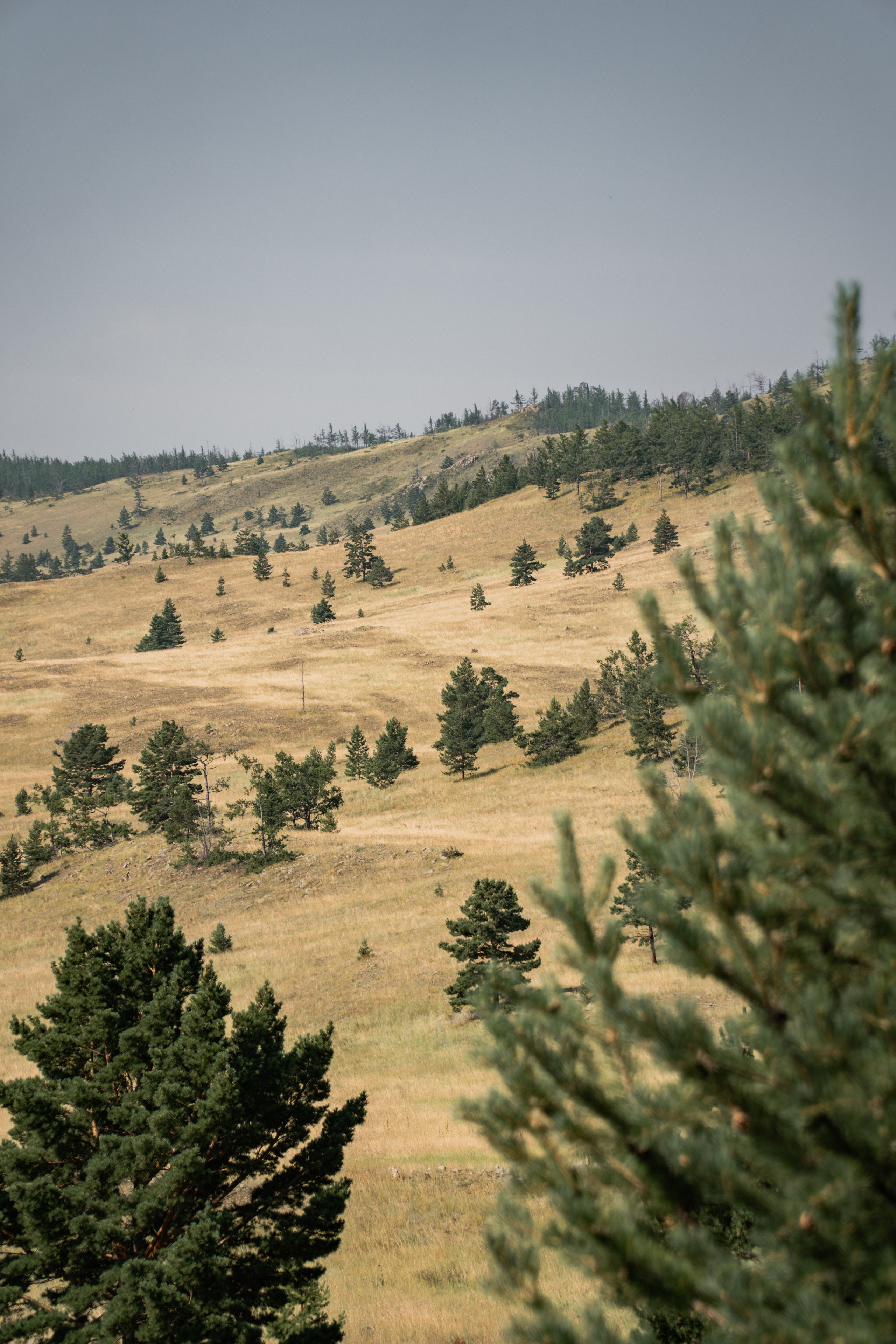 BBR 2026 — Baikal Bikepacking Race