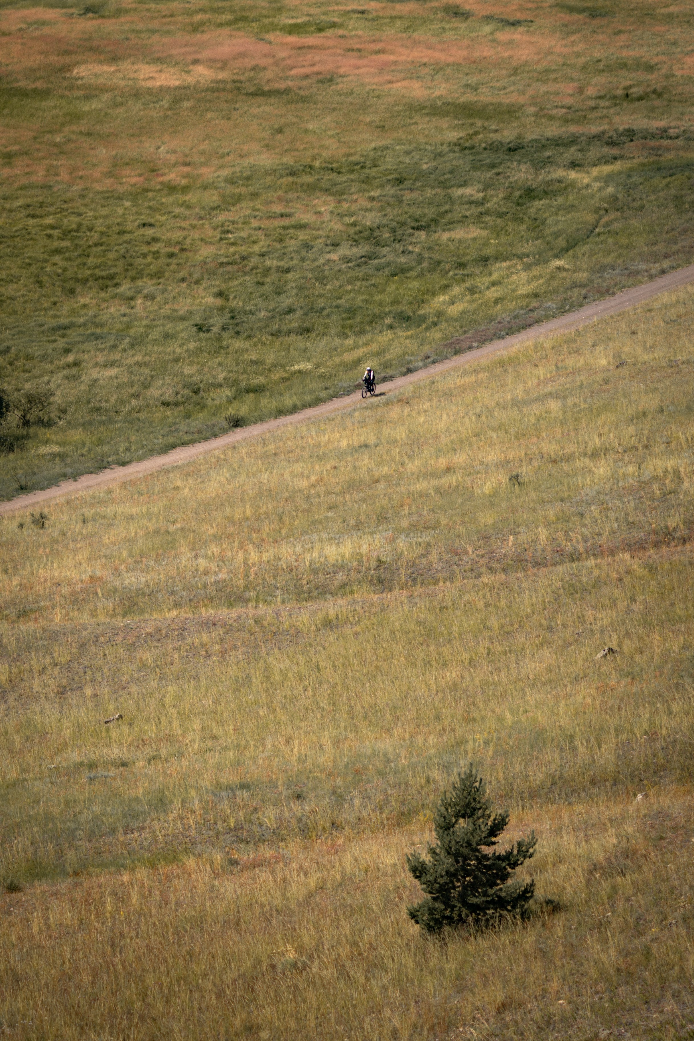 BBR 2026 — Baikal Bikepacking Race