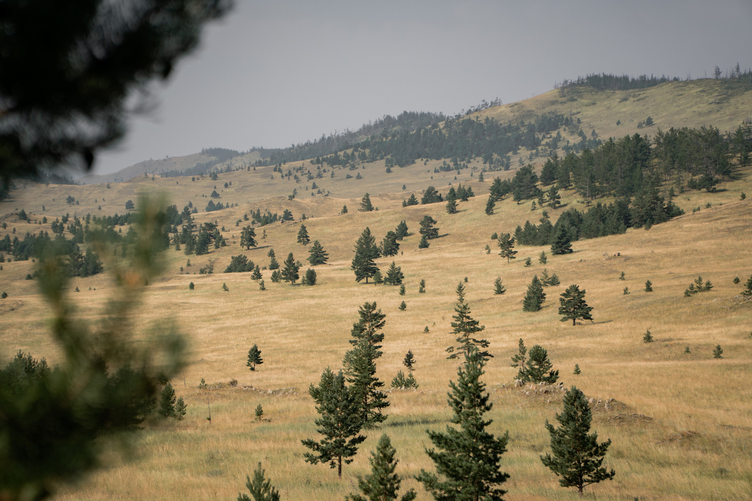 BBR 2026 — Baikal Bikepacking Race