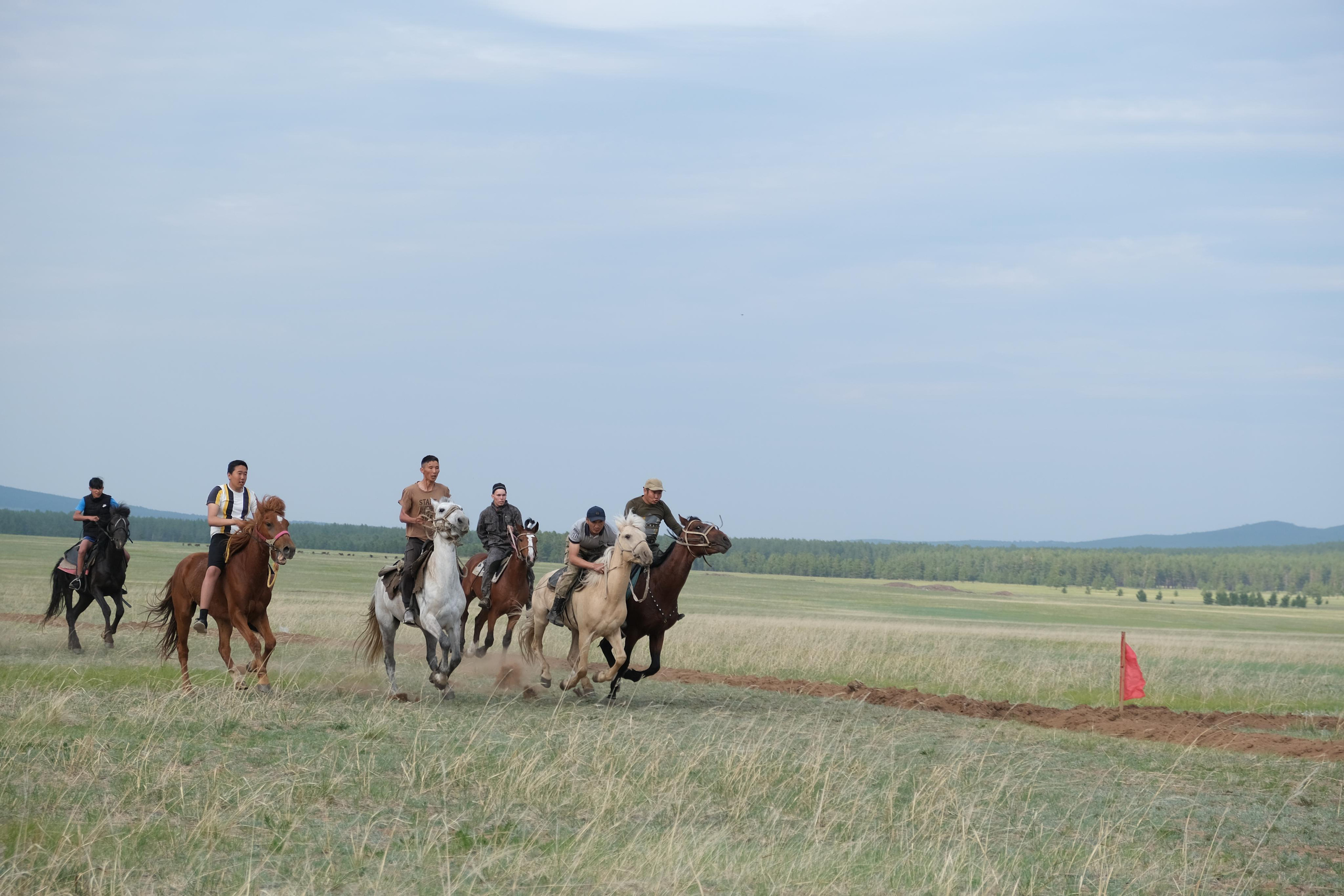 Сурхарбан, 100-летие Хоринского аймага (района) спортивная часть. Сэсэг — дочь степи | семейный фотограф