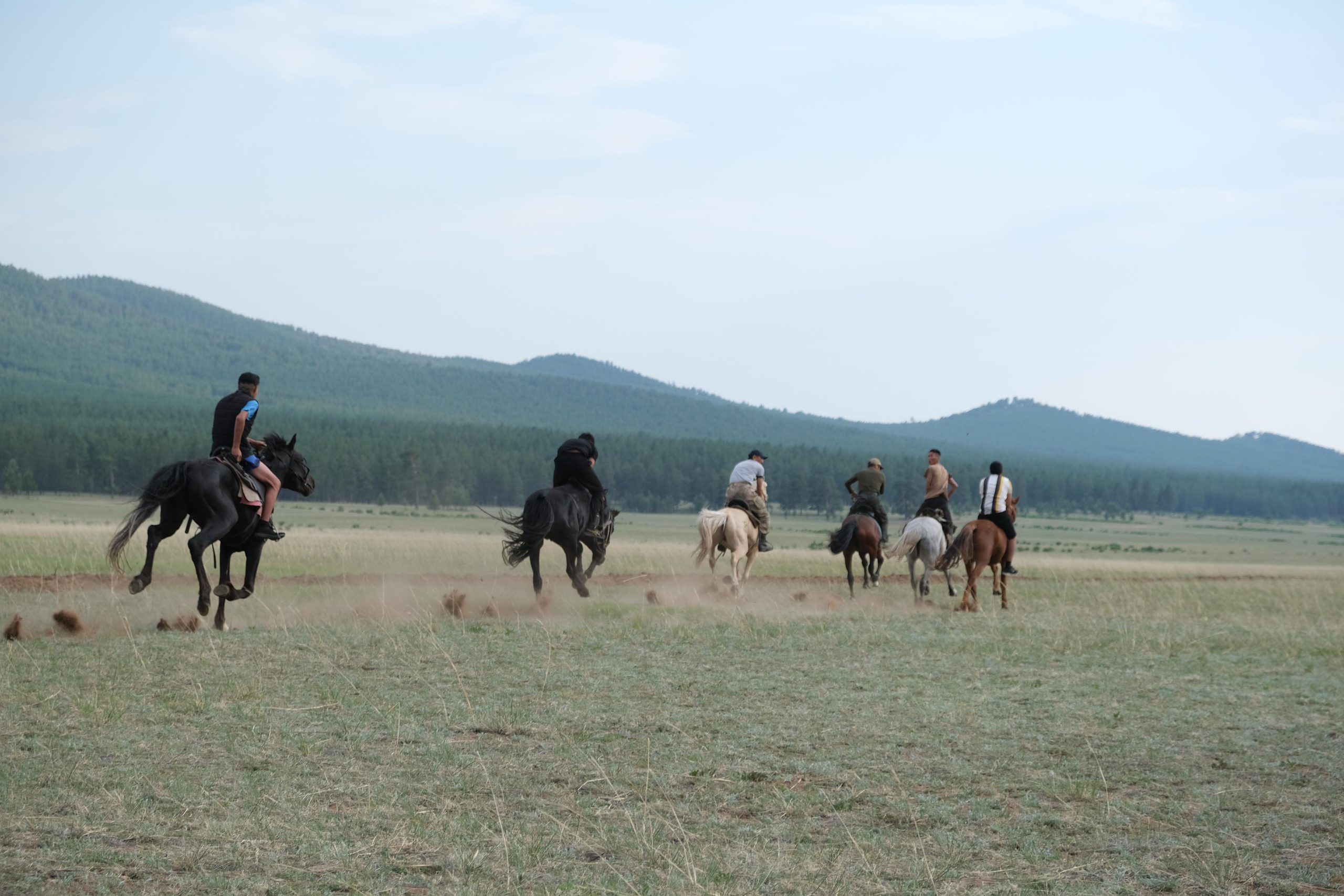 Сурхарбан, 100-летие Хоринского аймага (района) спортивная часть. Сэсэг — дочь степи | семейный фотограф