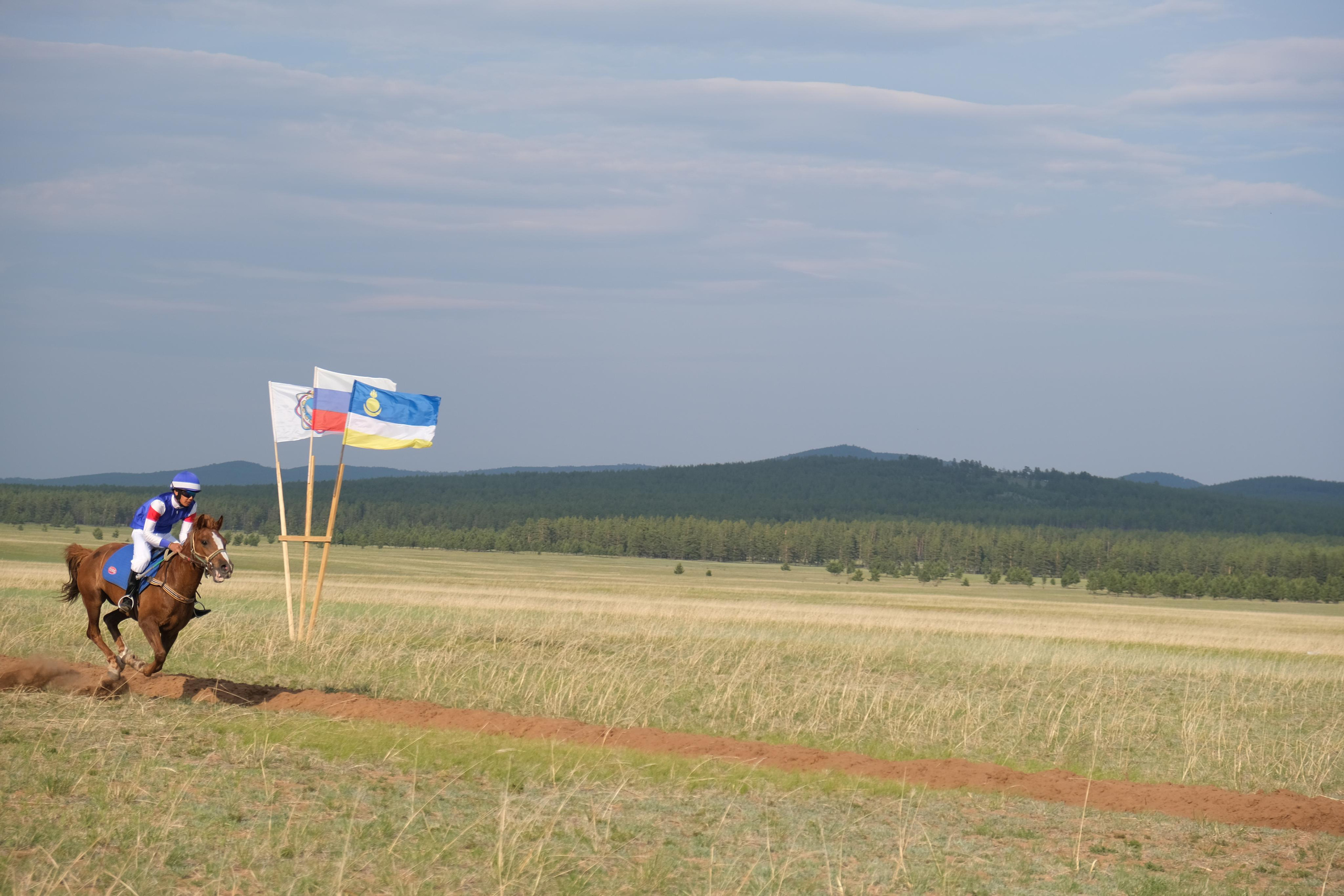 Сурхарбан, 100-летие Хоринского аймага (района) спортивная часть. Сэсэг — дочь степи | семейный фотограф