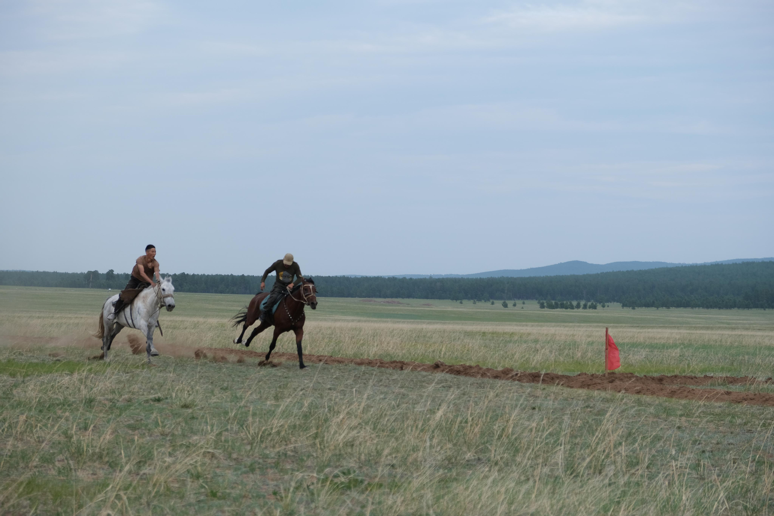 Сурхарбан, 100-летие Хоринского аймага (района) спортивная часть. Сэсэг — дочь степи | семейный фотограф