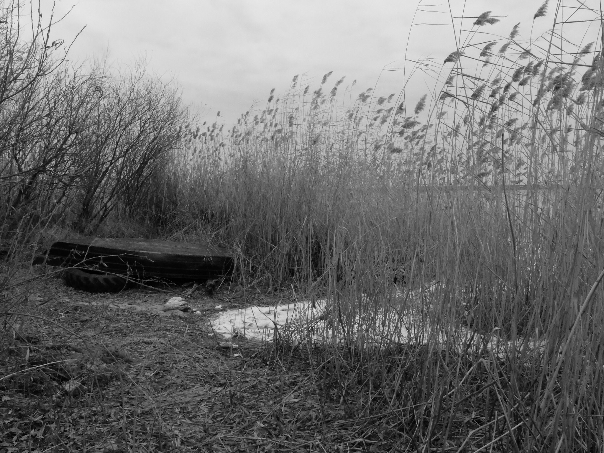 Внутривенные сны (2018-2023)