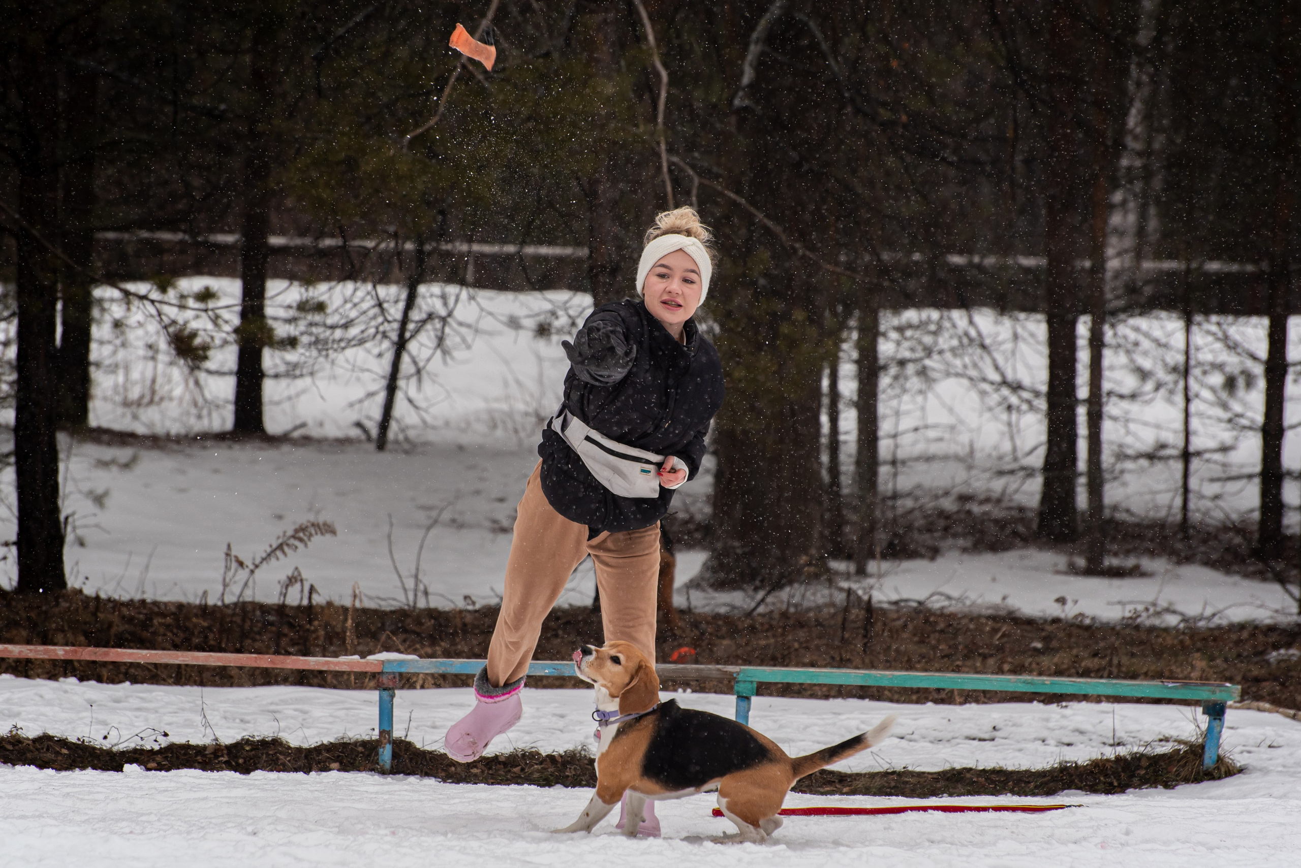 Фотосъёмка с собаками в Кинологическом лагере. Фотограф Макс Огурцов в Нижнем Новгороде