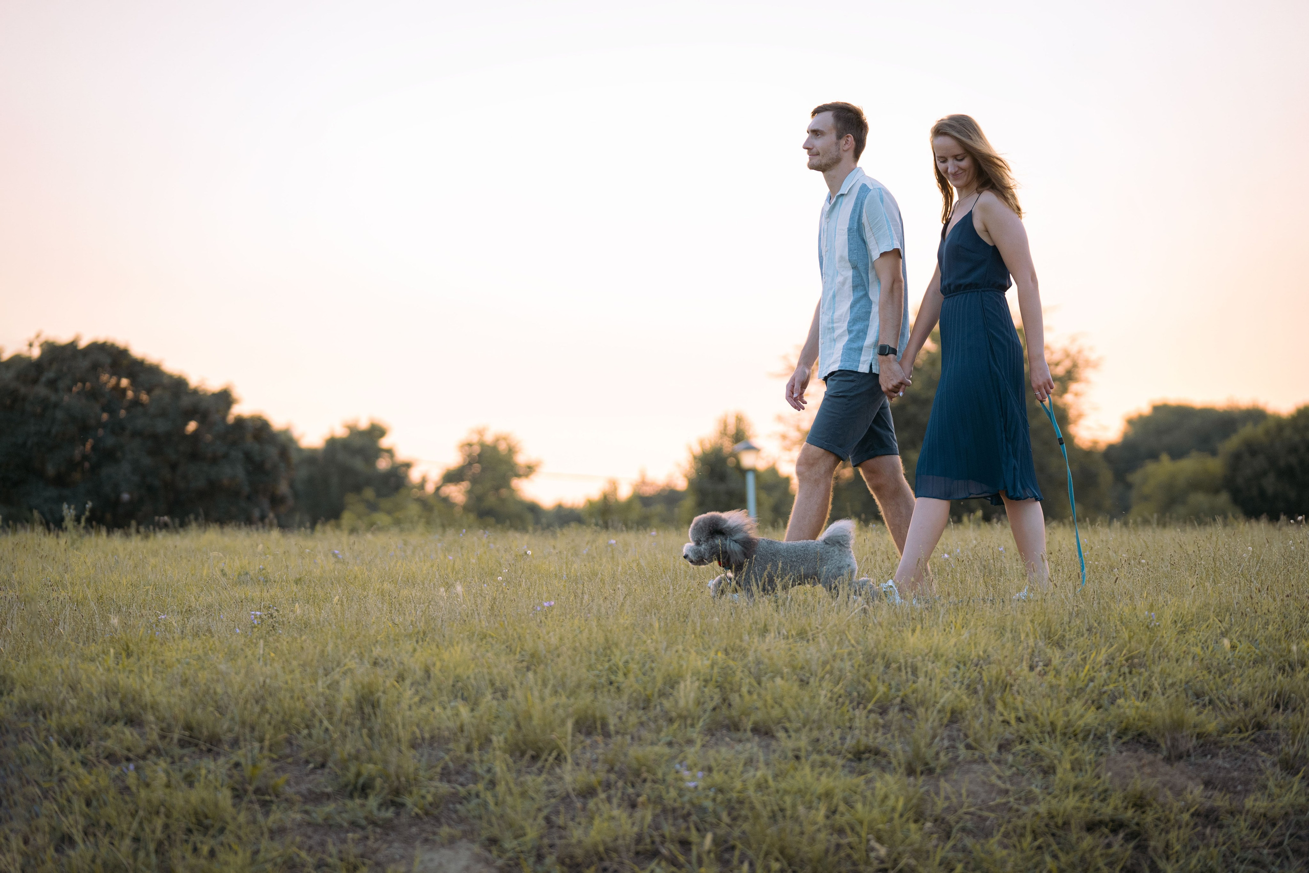 В Белграде на набережной. Фотограф анималист