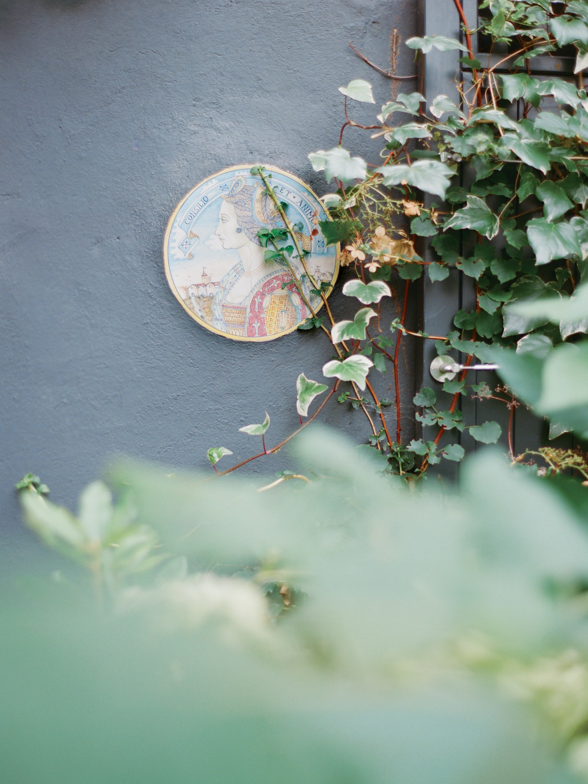 Лиза и Юрий, годовщина в Амстердаме. Изящная фотография | Ксения Милушкина