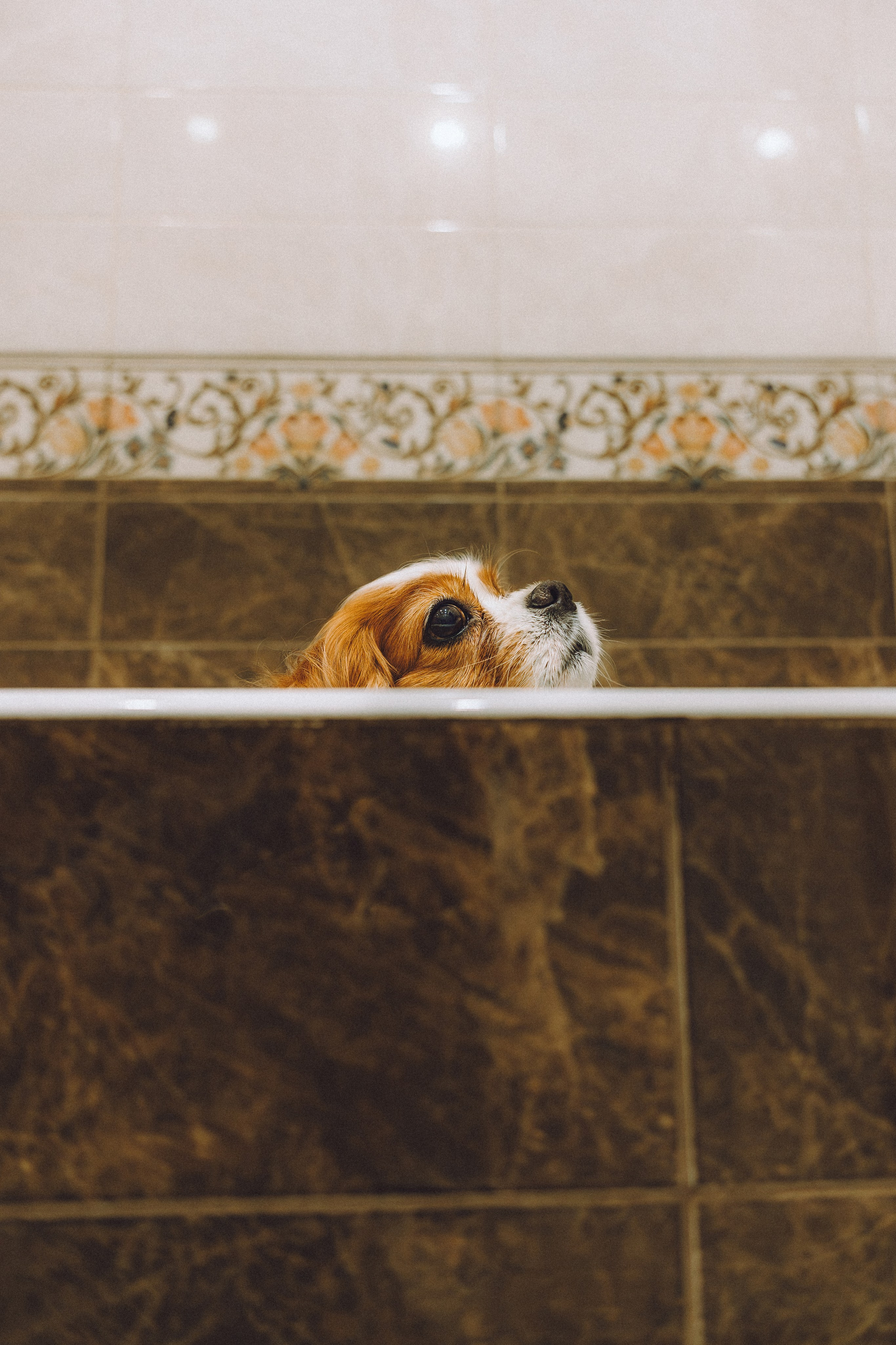 Наташа и Вики