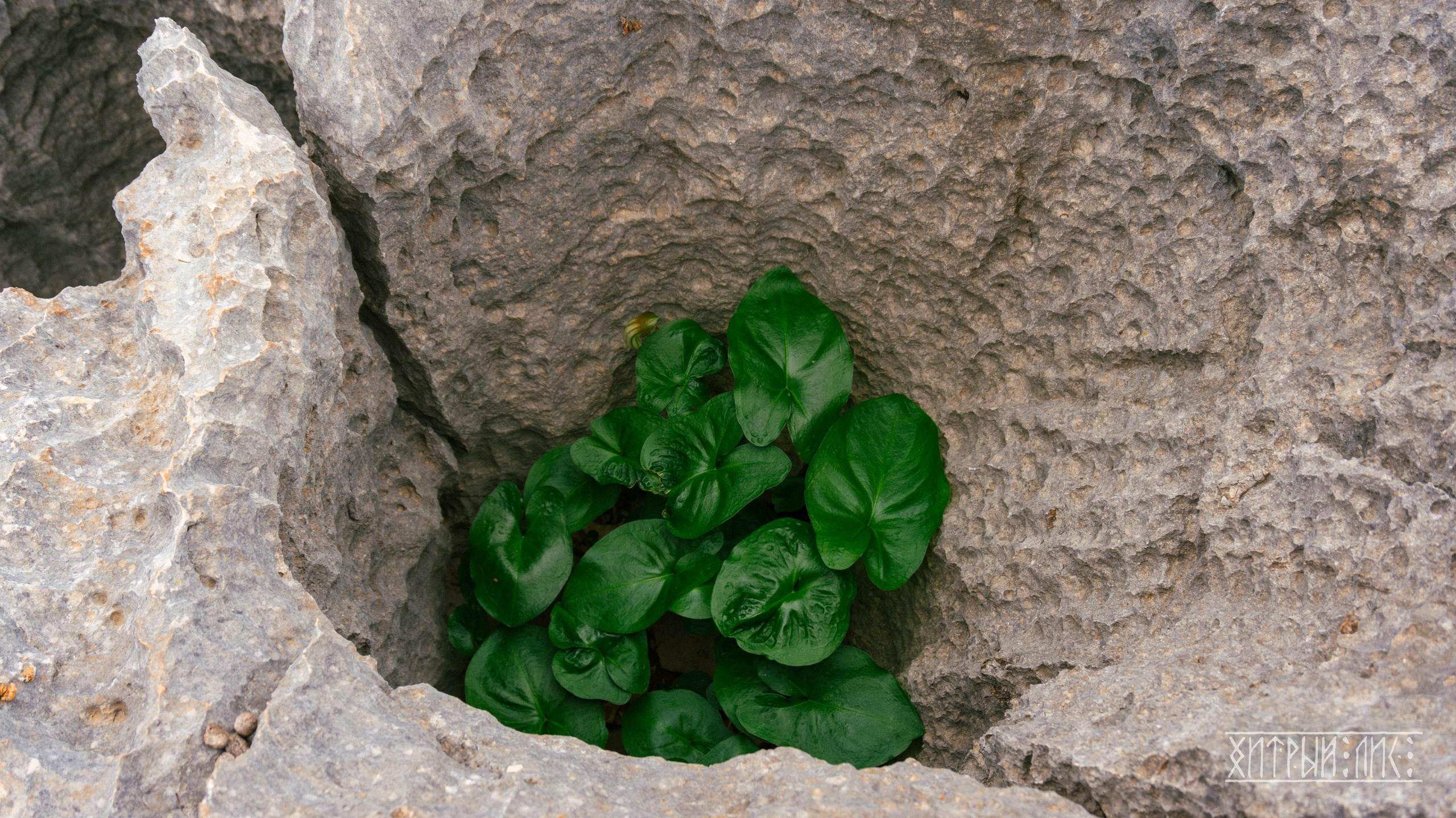 Турция. Ликийский путь. Фотограф-путешественник Самойлов Максим «Sly Fox»