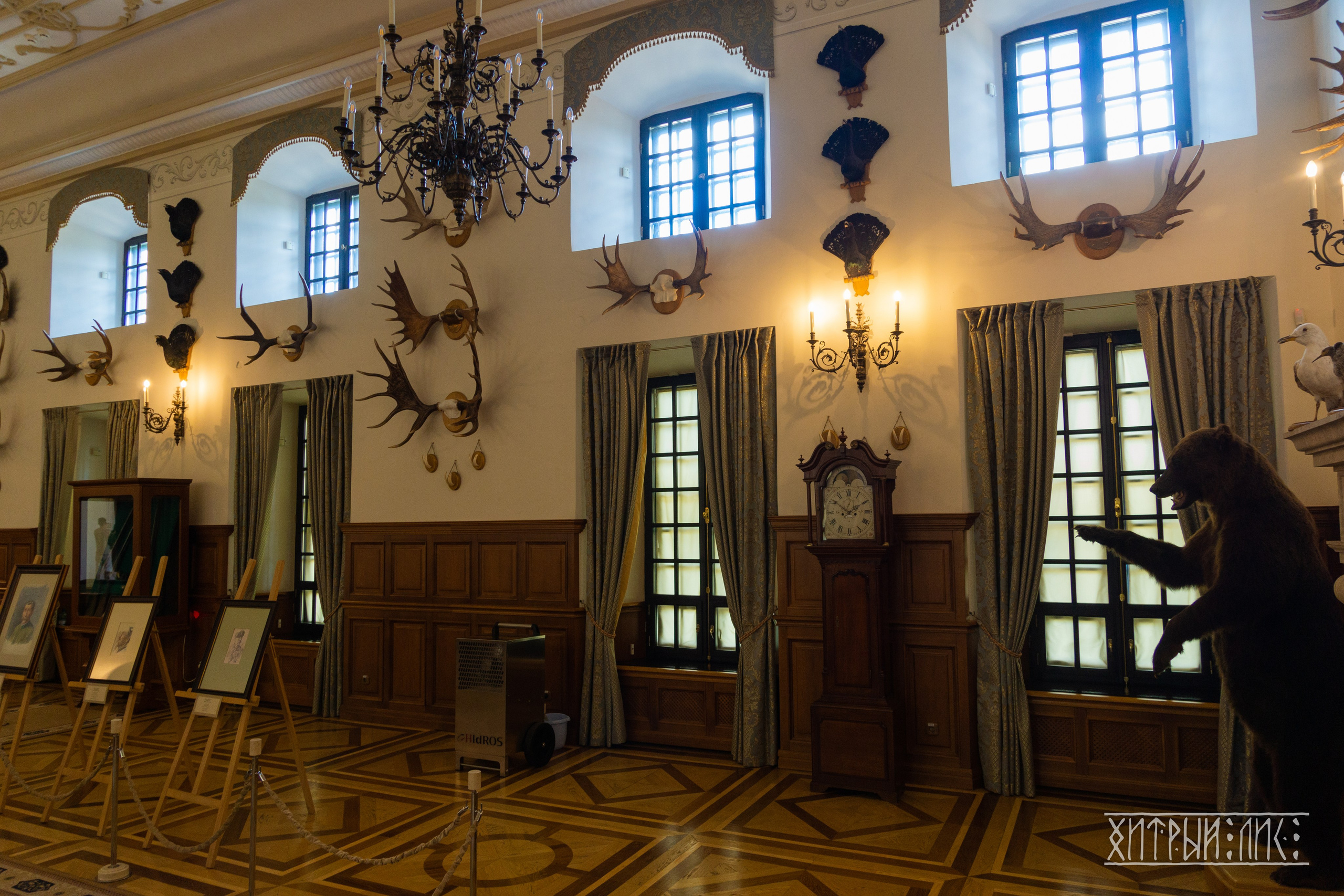 Беларусь. Фотограф-путешественник Самойлов Максим «Sly Fox»